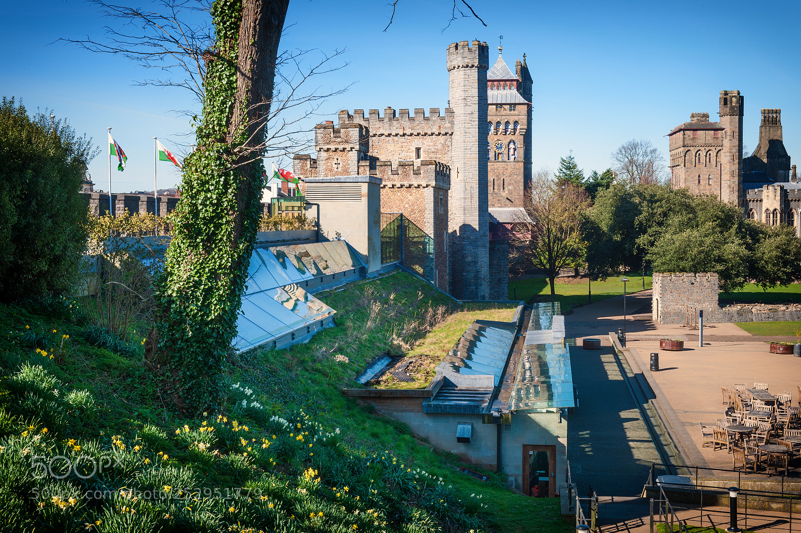 Nikon D700 sample photo. Cardiff castle photography