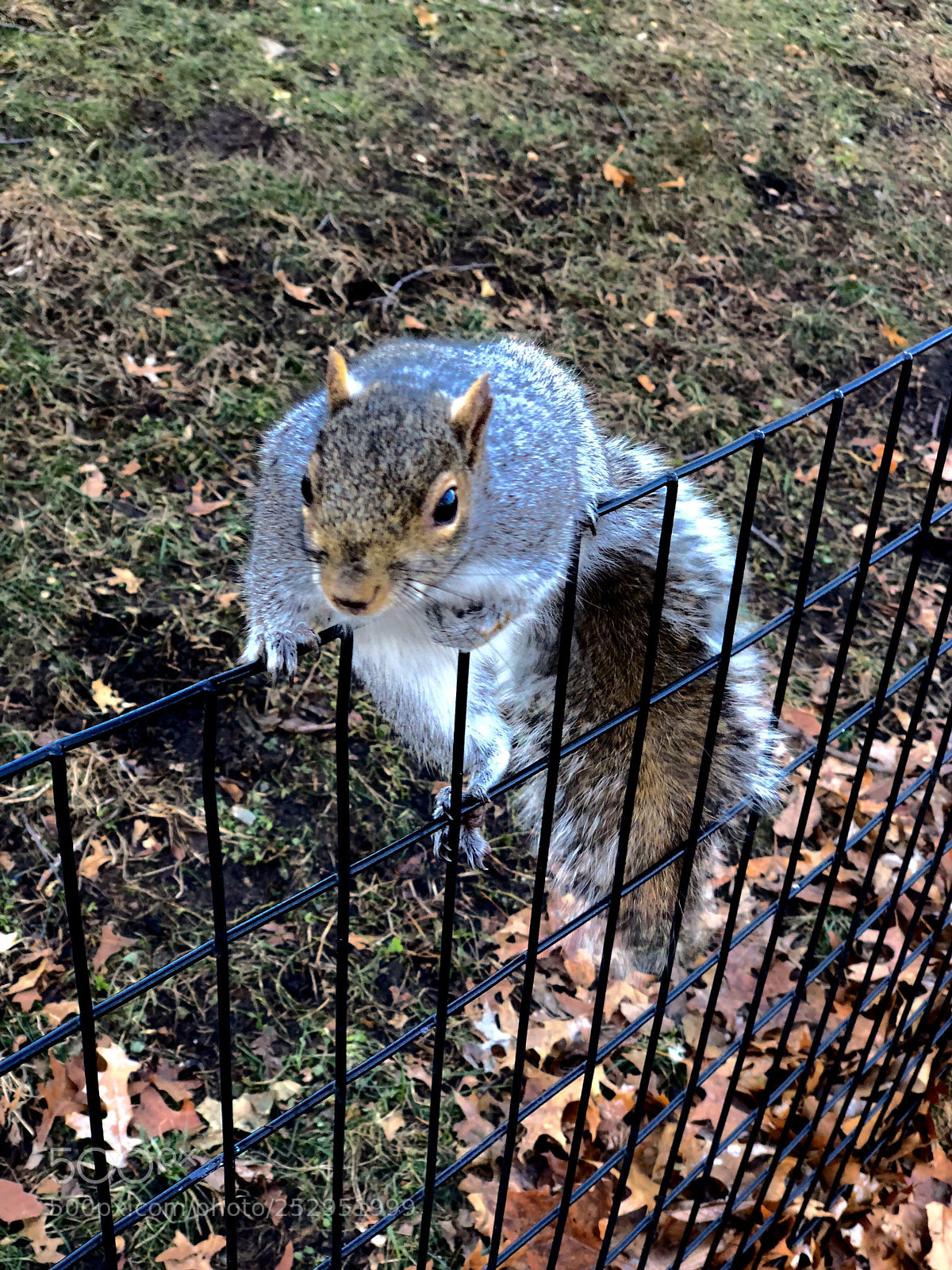 Apple iPhone X sample photo. Escape plan photography