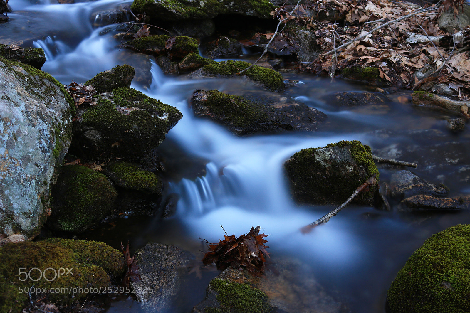 Canon EOS 750D (EOS Rebel T6i / EOS Kiss X8i) sample photo. Moss and water photography