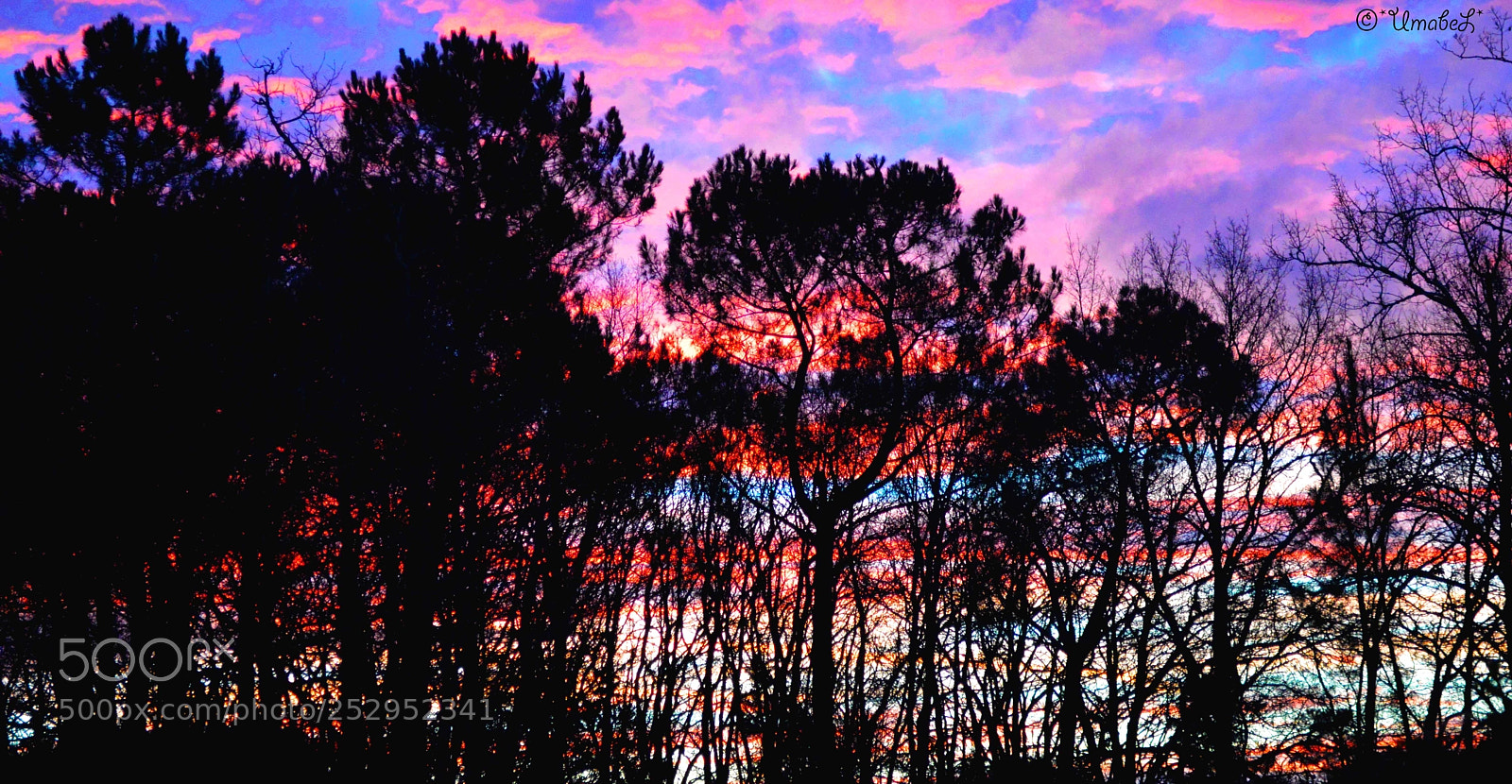 Nikon D3200 sample photo. Aurore photography