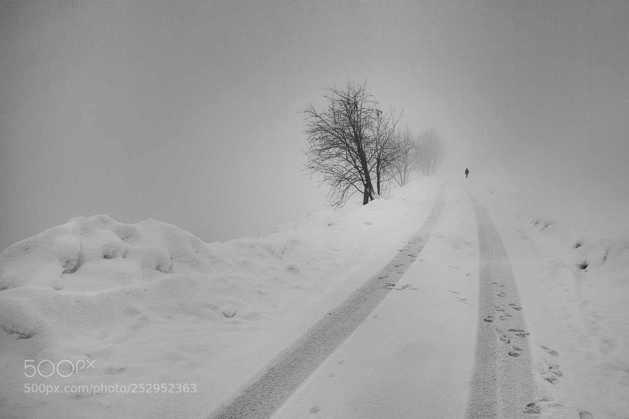 Canon EOS 7D Mark II sample photo. Road to nowhere photography