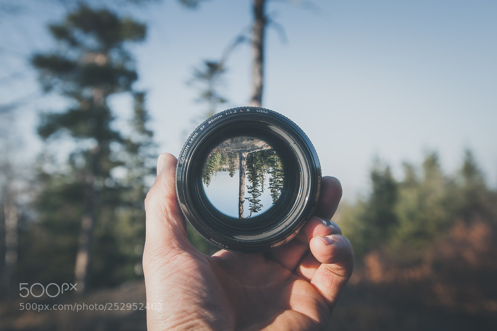 Canon EOS 5D Mark II sample photo. Through lens photography