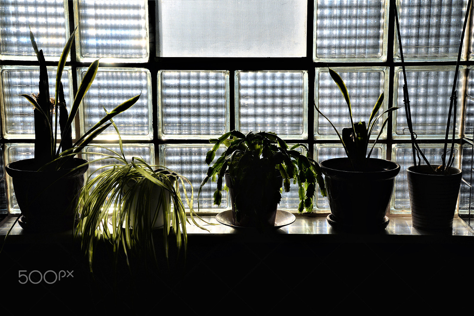 Nikon D610 sample photo. Vases on the seal photography