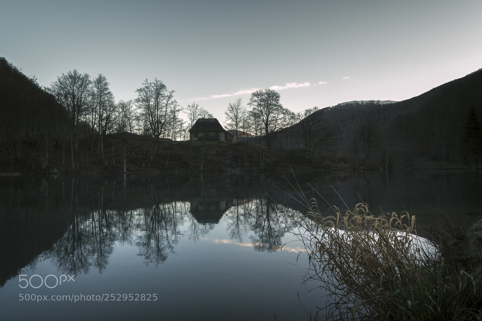 Nikon D7200 sample photo. Sunrise on the pond photography