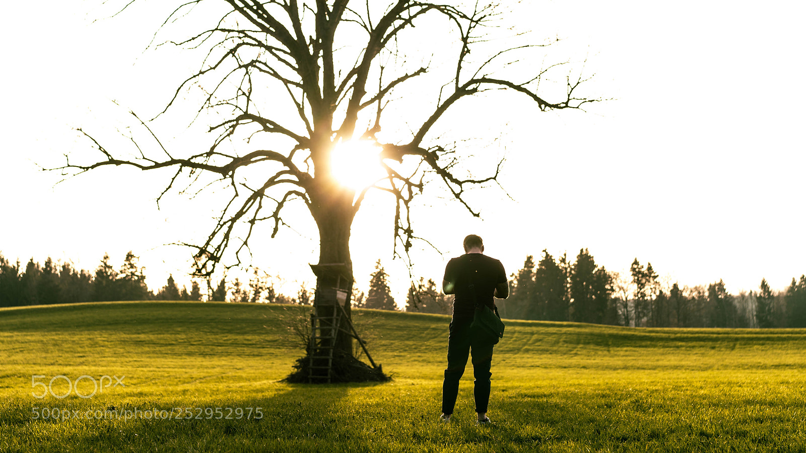 Sony a7 sample photo. Sun photography