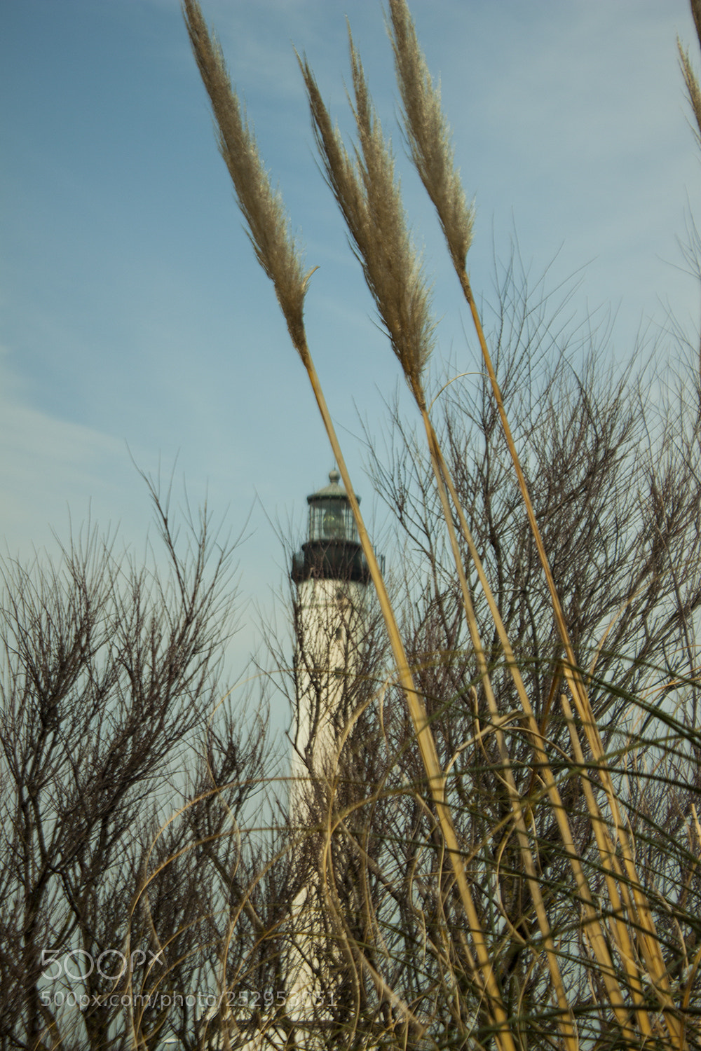 Canon EOS 500D (EOS Rebel T1i / EOS Kiss X3) sample photo. Biarritz,france photography