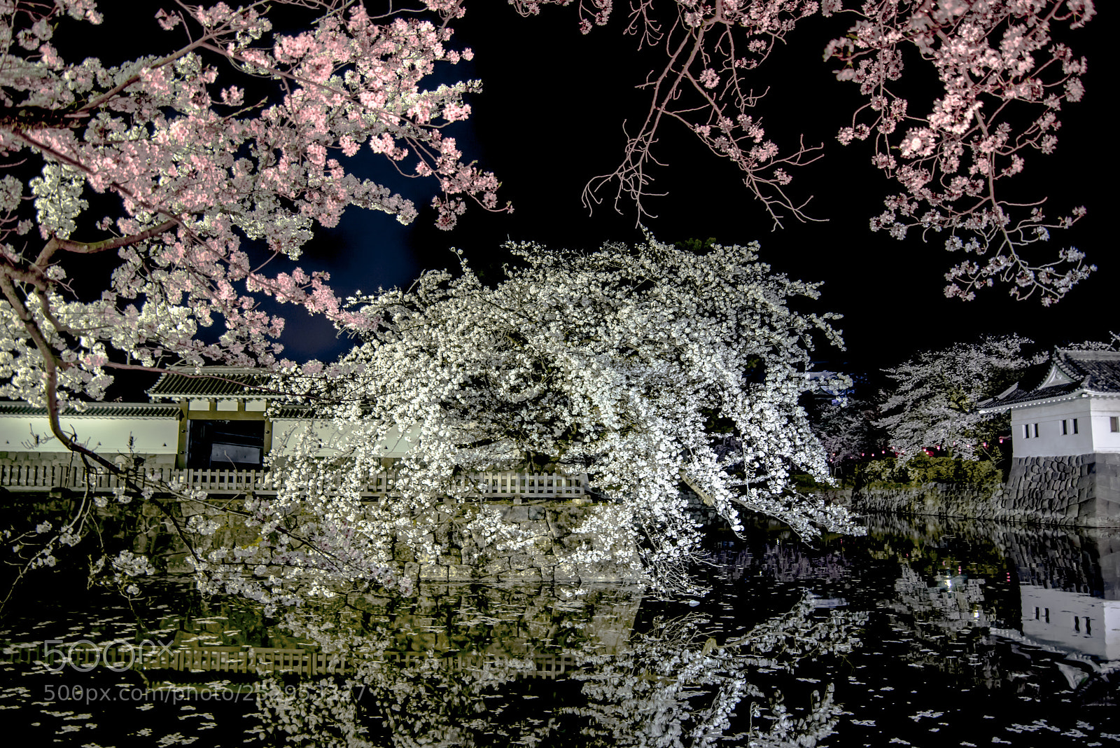 Nikon D810 sample photo. Castle of odawara with photography