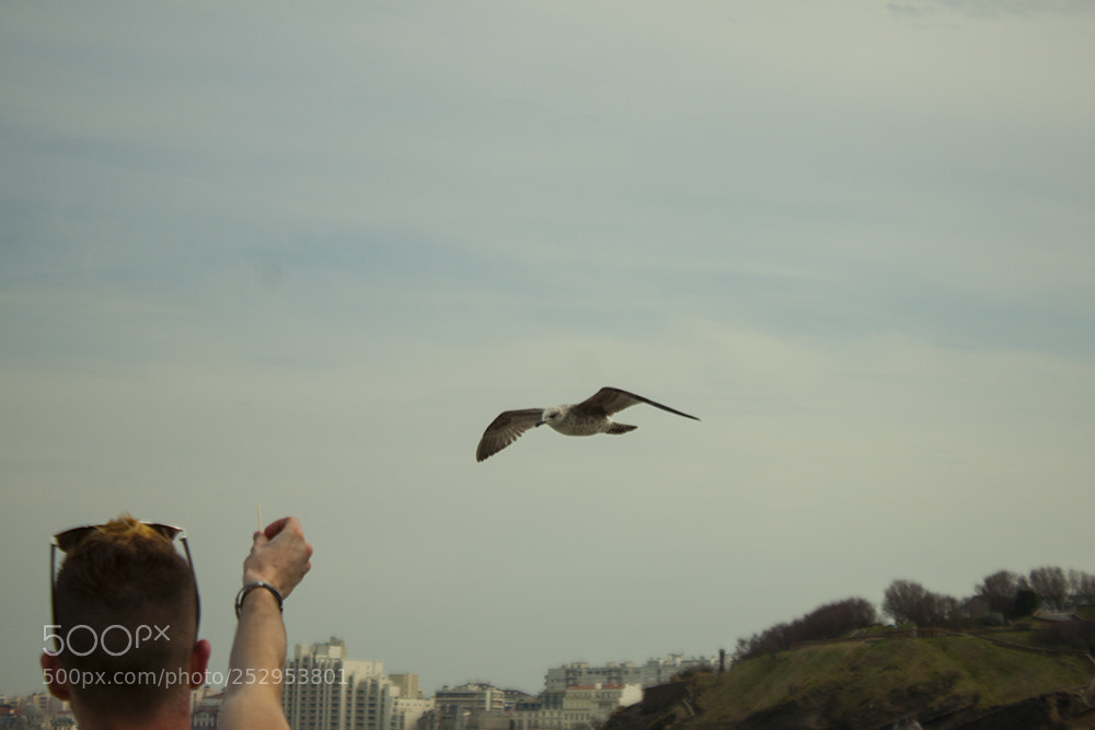 Canon EOS 500D (EOS Rebel T1i / EOS Kiss X3) sample photo. Biarritz,france photography