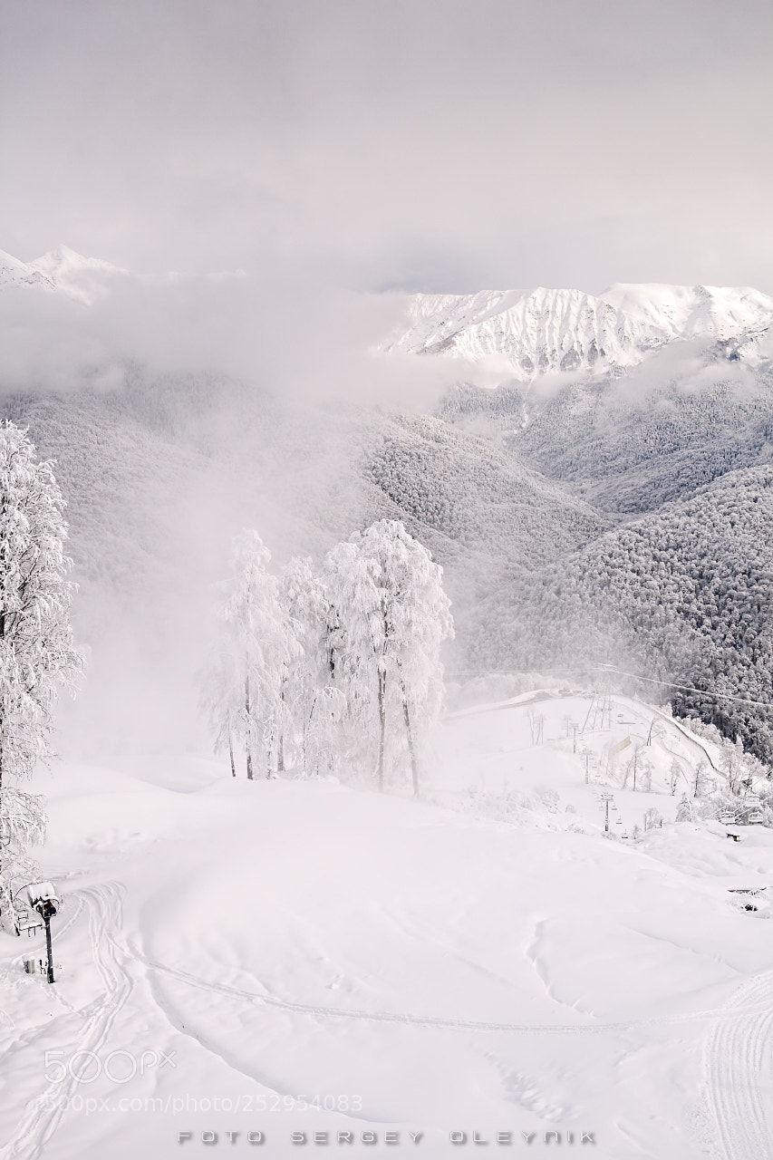 Canon EOS 5D Mark II sample photo. Winter's tale photography