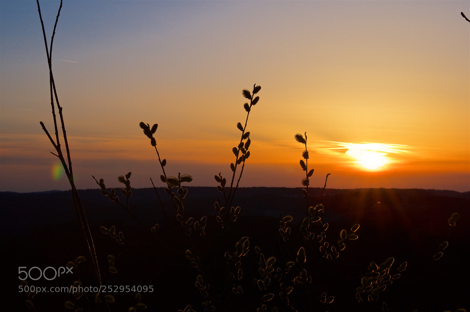 Pentax K-3 II sample photo. Enjoy the sunset photography