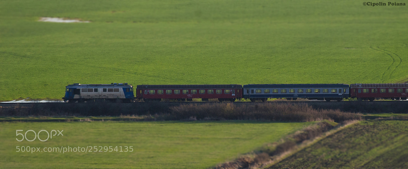 Nikon D7000 sample photo. Train and colours of photography