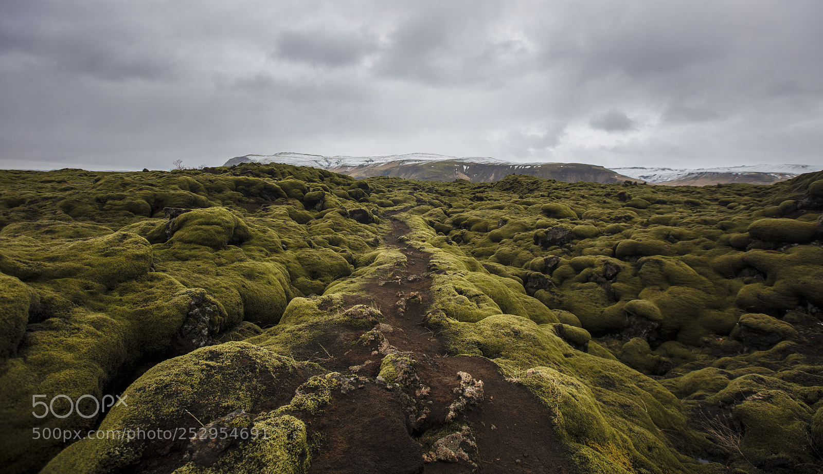 Canon EOS 5DS sample photo. The pathway photography