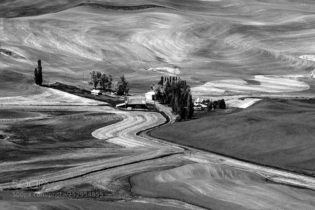 Canon EOS 700D (EOS Rebel T5i / EOS Kiss X7i) sample photo. The palouse photography