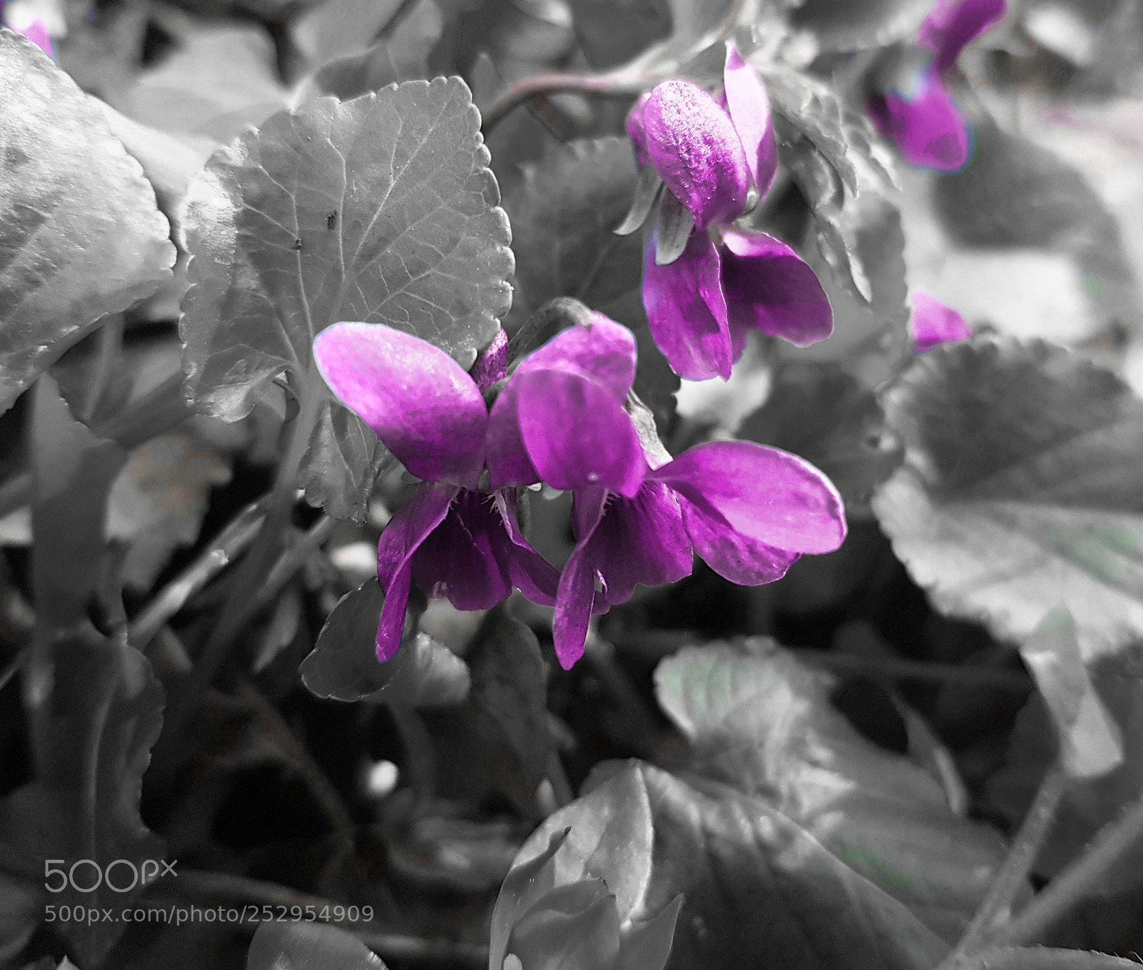 Samsung Galaxy S8 sample photo. Untitled photography