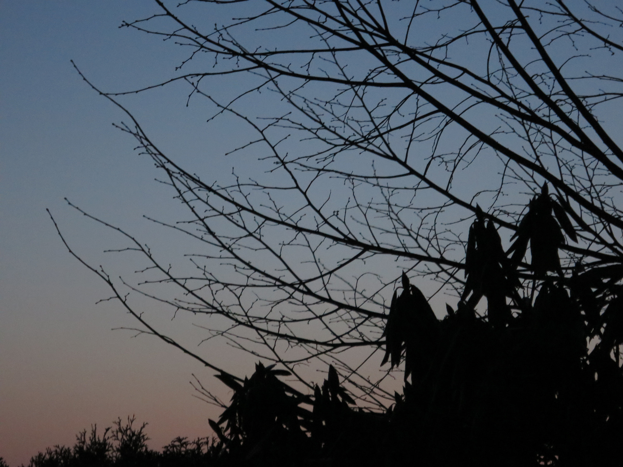 Canon PowerShot S120 sample photo. Silhouette photography