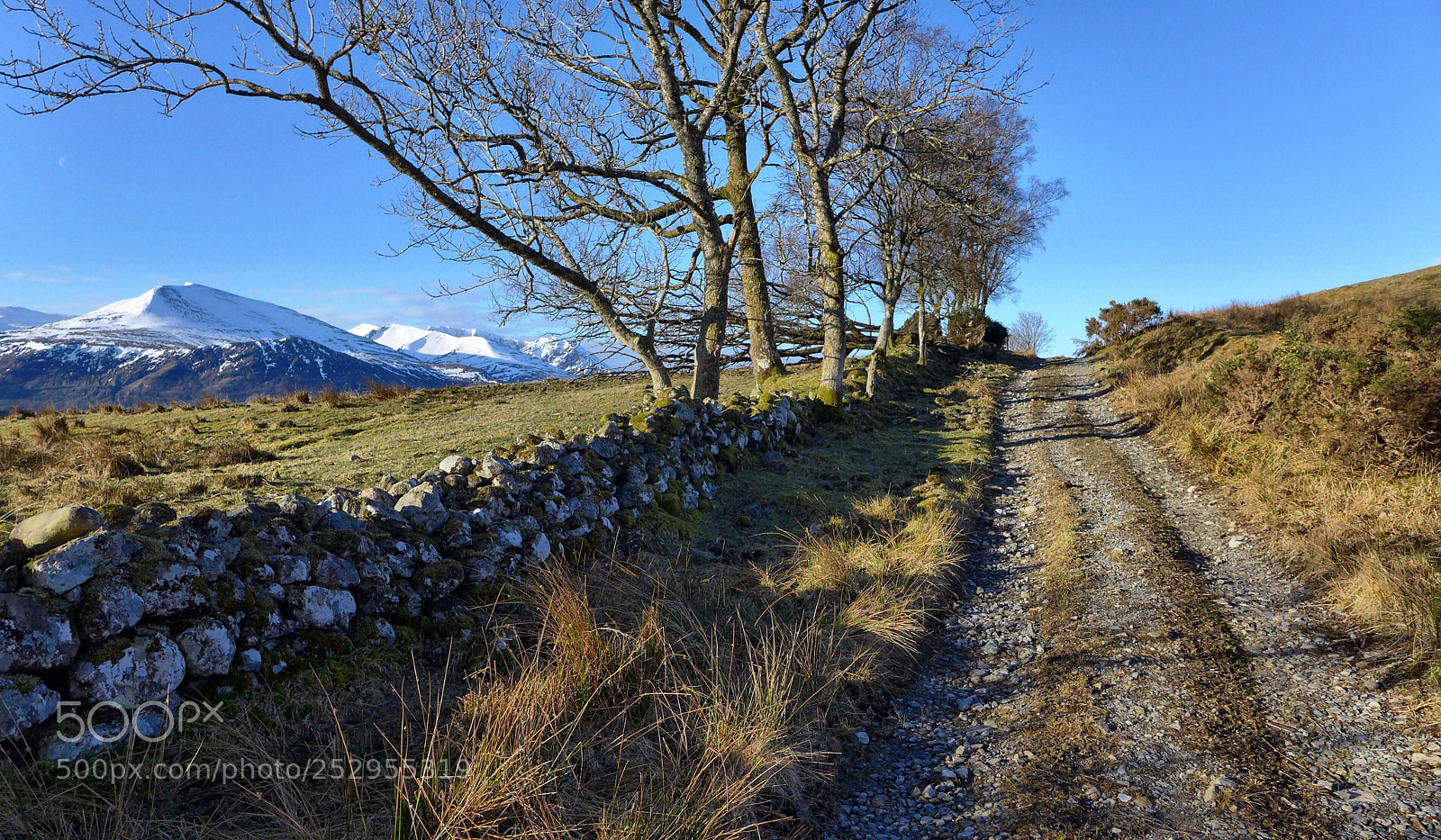 Panasonic Lumix DMC-LX7 sample photo. An early morning walk... photography