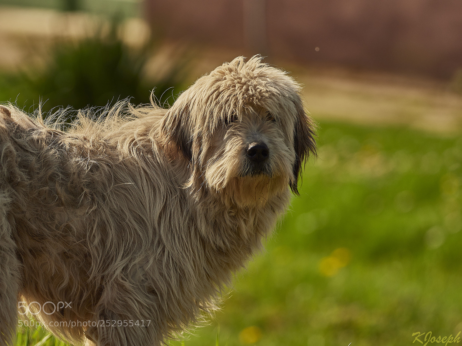 Olympus OM-D E-M1 Mark II sample photo. All kind of animals. photography