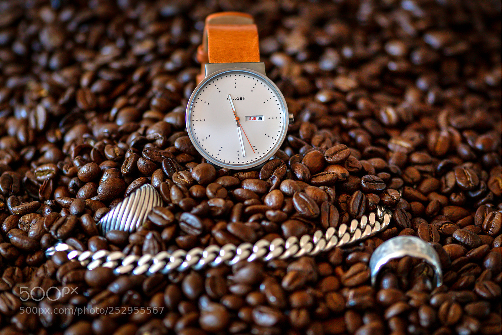 Sony ILCA-77M2 sample photo. 11:28 a.m. photography