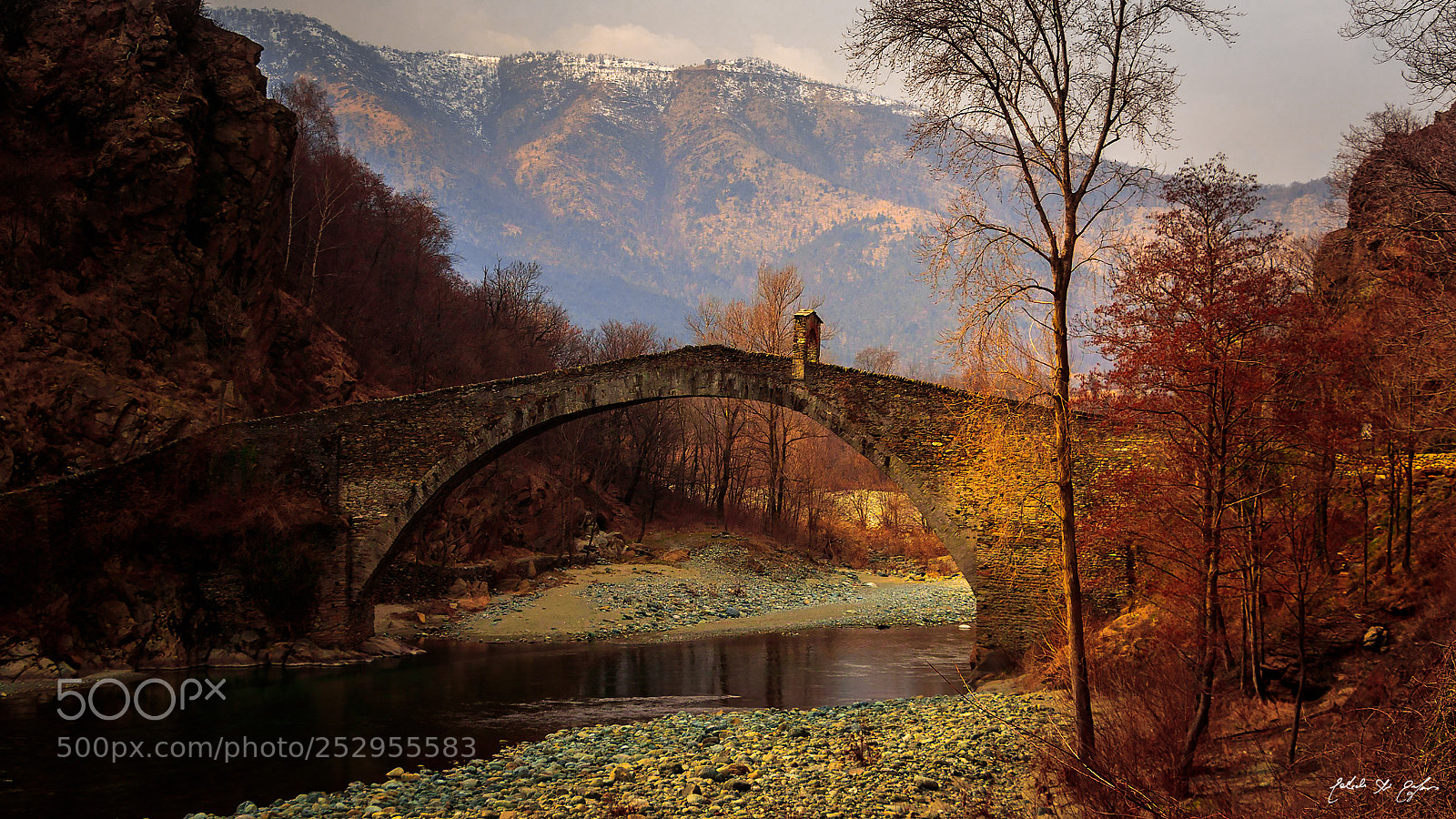 Canon EOS 77D (EOS 9000D / EOS 770D) sample photo. Trees on devil's bridge photography