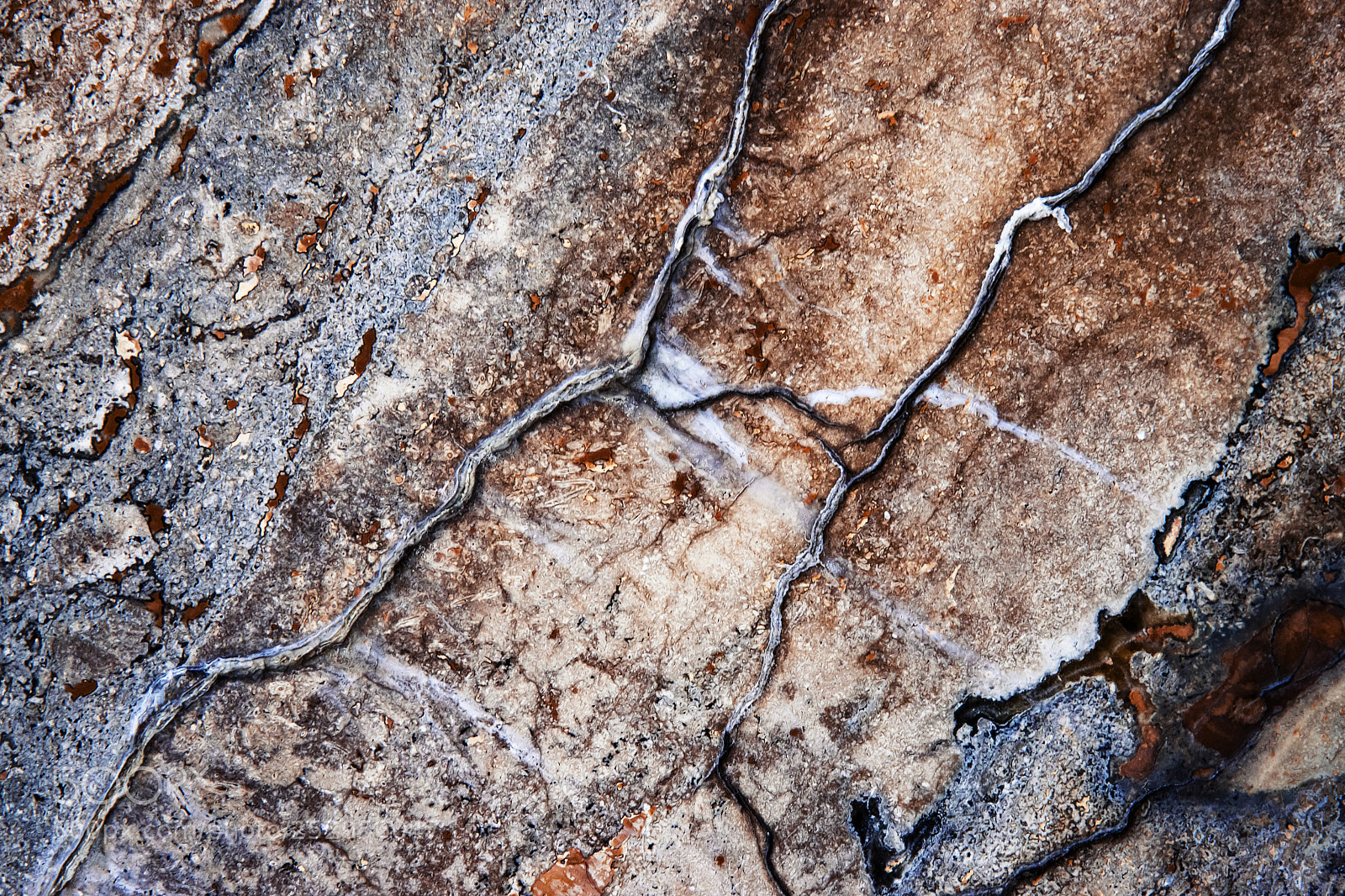 Nikon D5500 sample photo. Detail on the polished photography