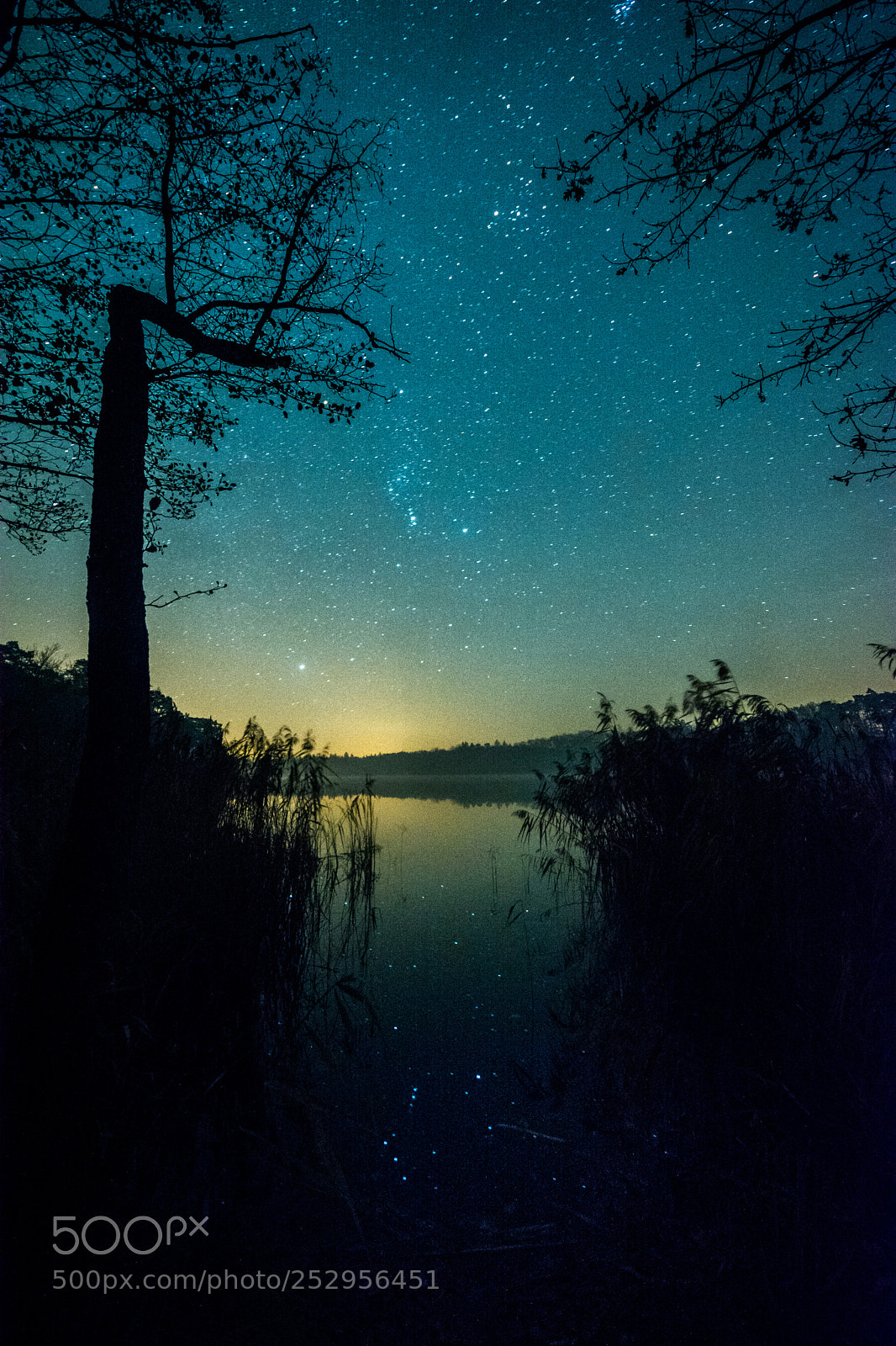 Nikon D7100 sample photo. Moonless sky in zaniemy photography