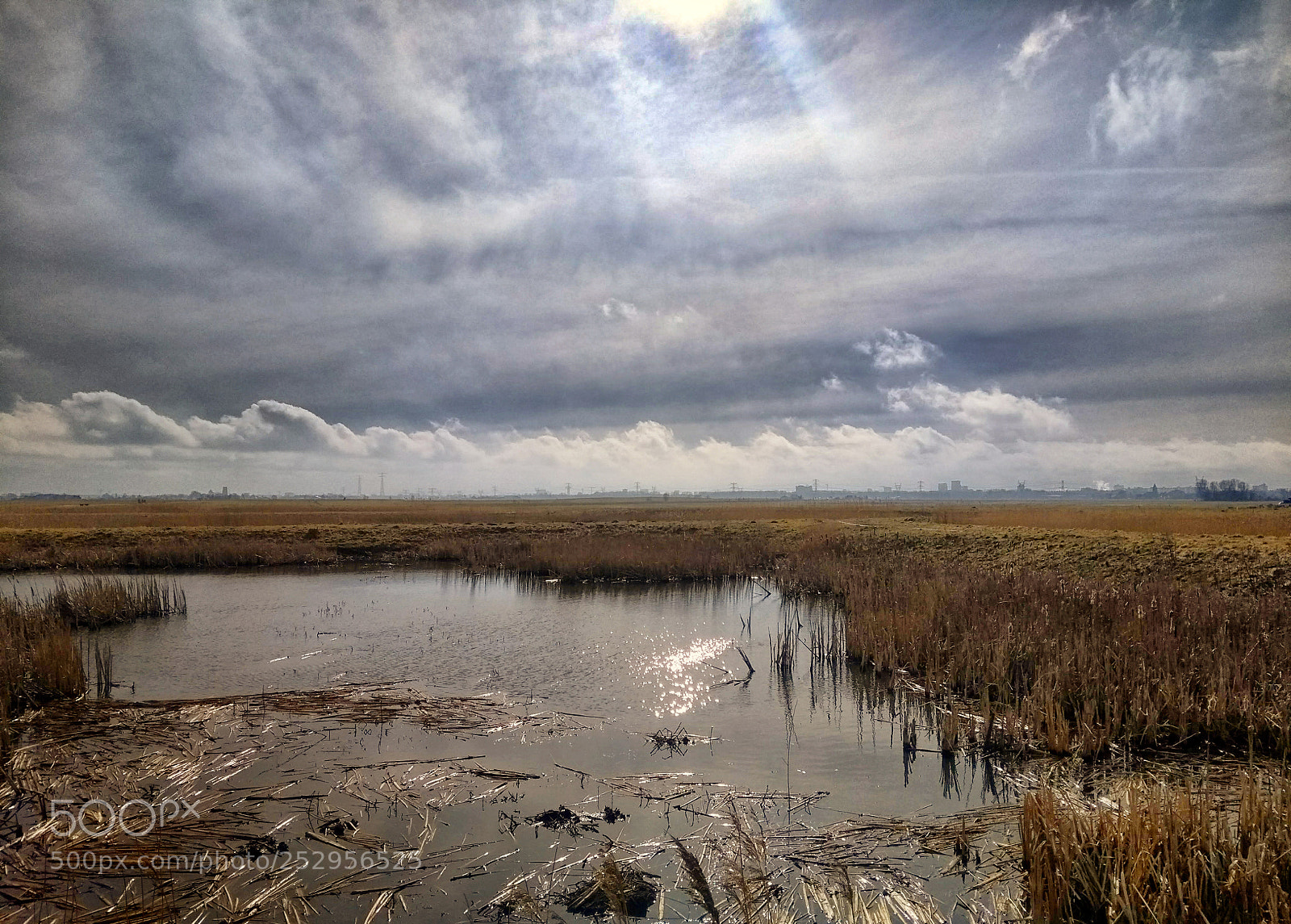 Motorola Moto G (5th Gen) sample photo. Growing peat photography
