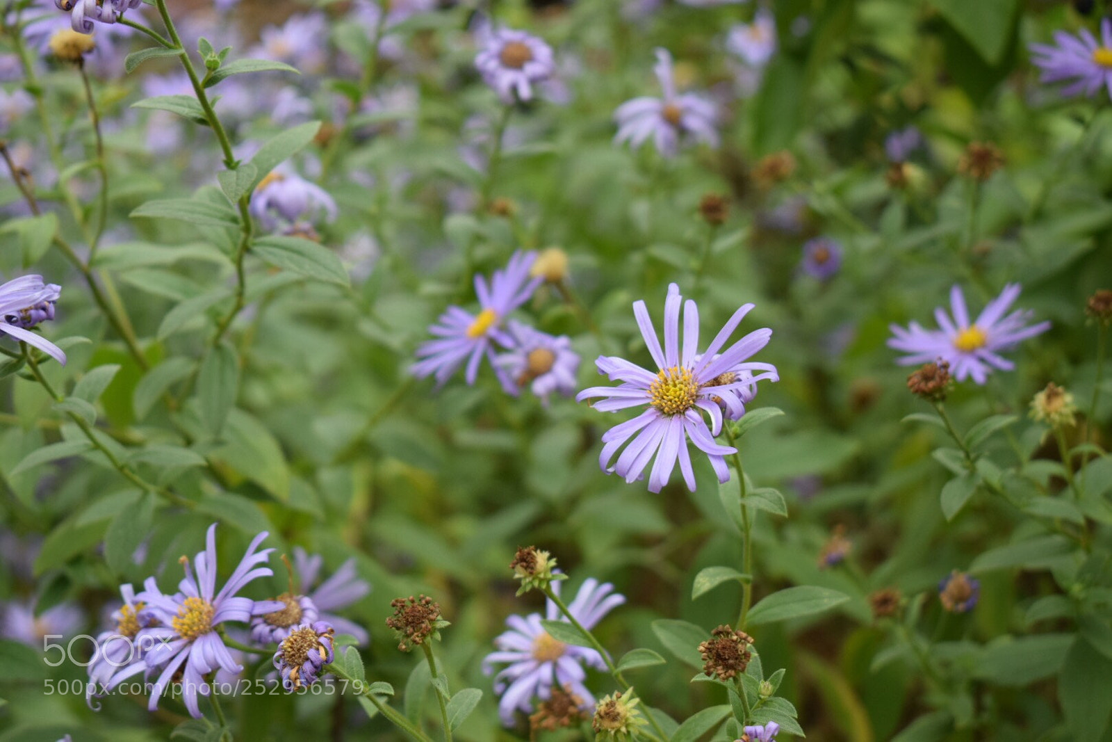 Nikon D5300 sample photo. Untitled photography