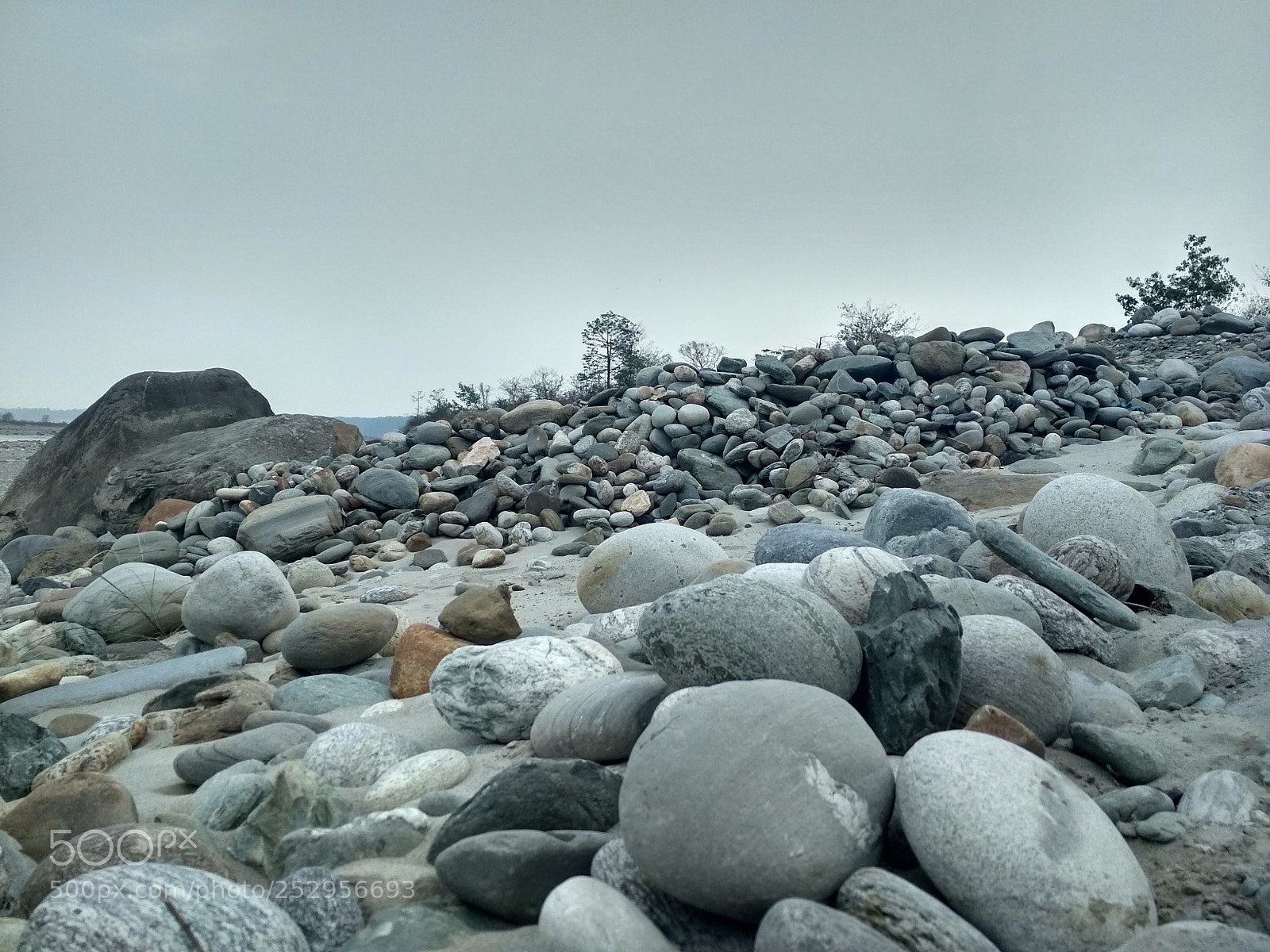 Xiaomi Redmi 4 Pro sample photo. Untitled photography