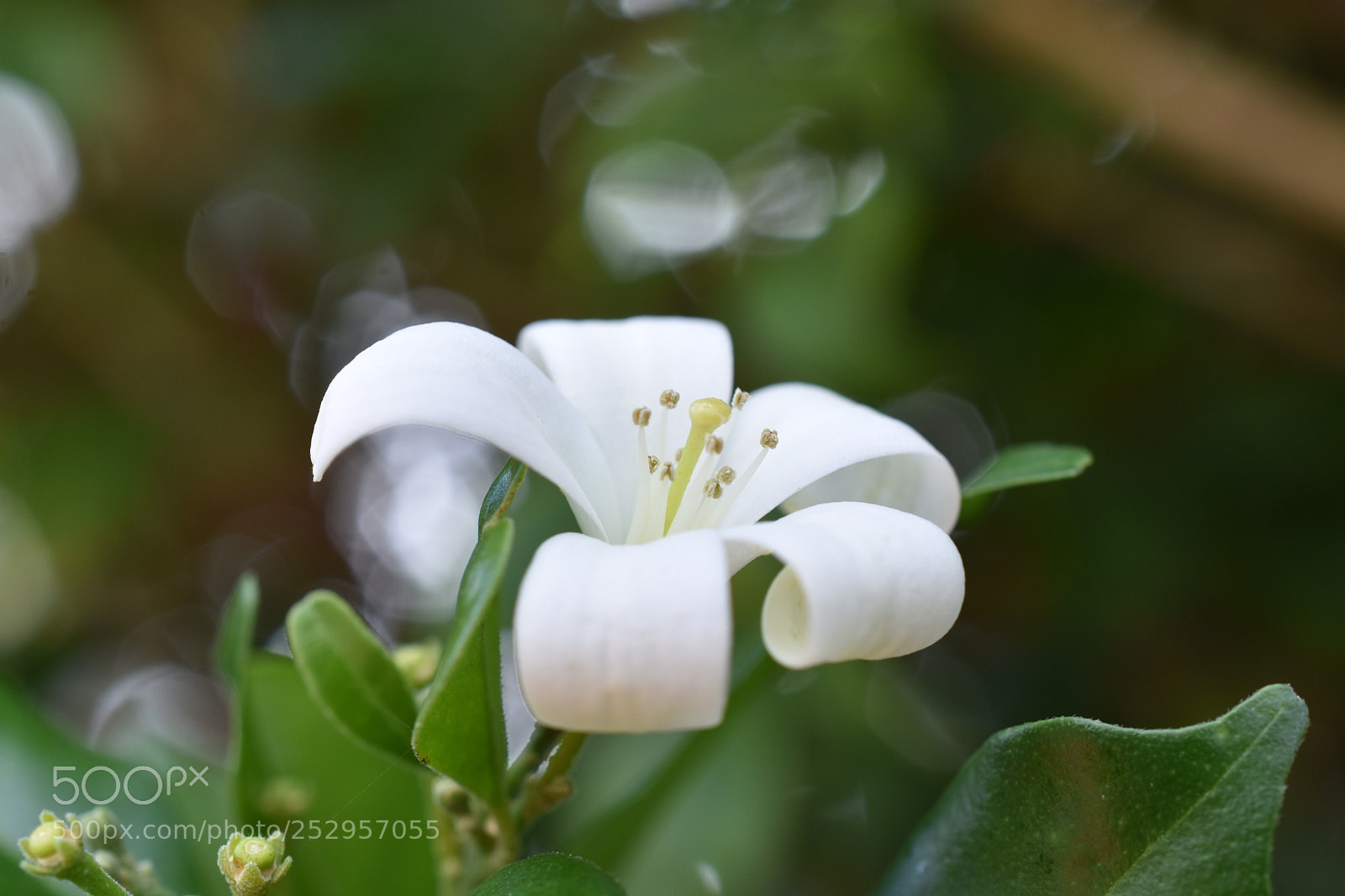Nikon D3400 sample photo. Reach out and touch photography