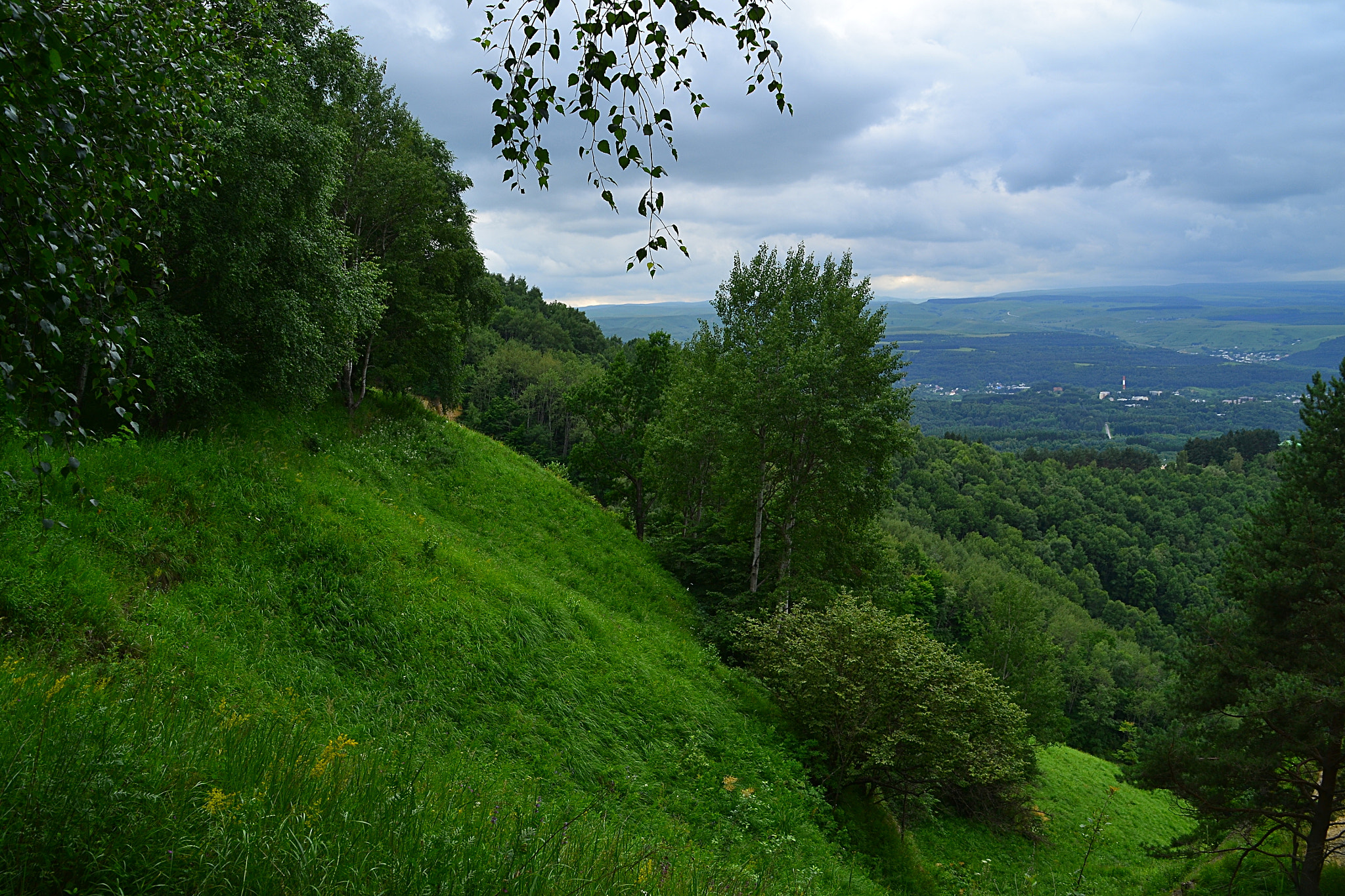 Nikon D3100 sample photo. Keeping the greenery photography