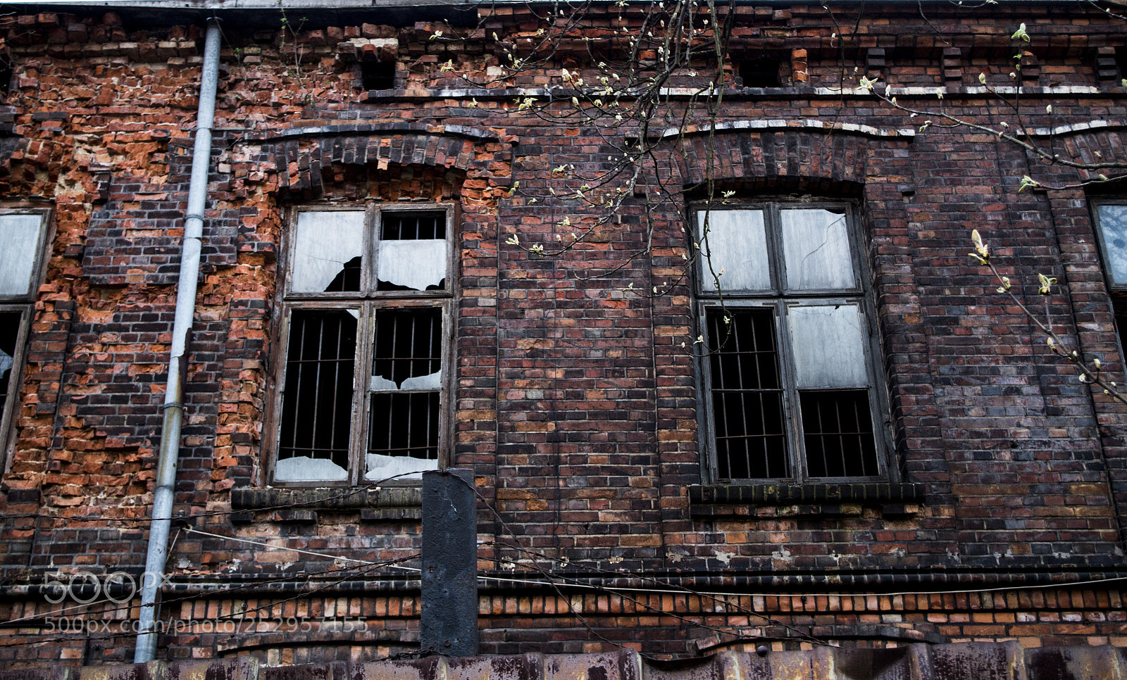 Pentax K-50 sample photo. Windows photography