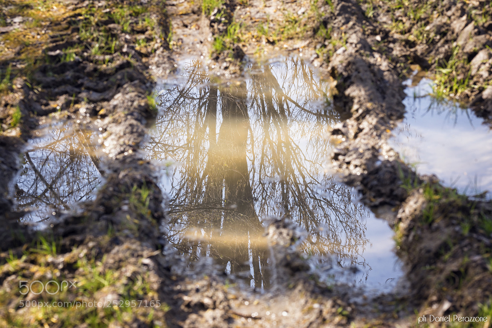 Nikon D7100 sample photo. Take a walk on photography