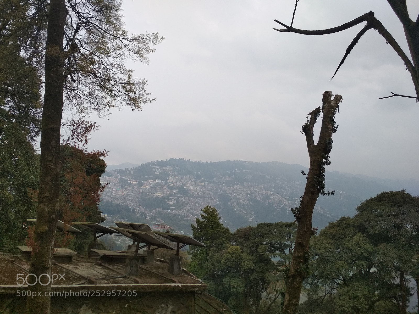 Xiaomi Redmi 4 Pro sample photo. Untitled photography