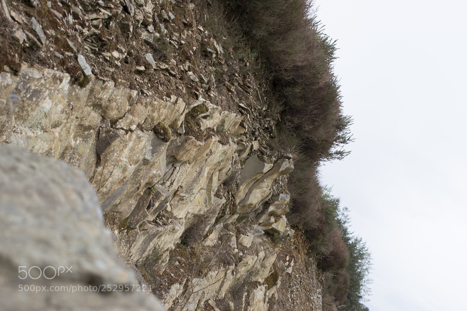 Pentax K-70 sample photo. The only way up photography