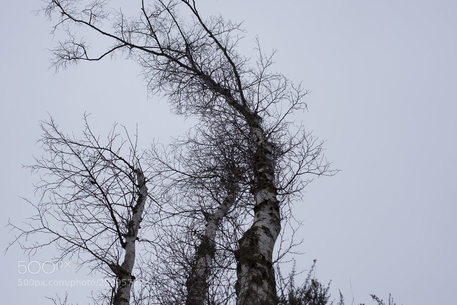 Pentax K-70 sample photo. Explosion photography
