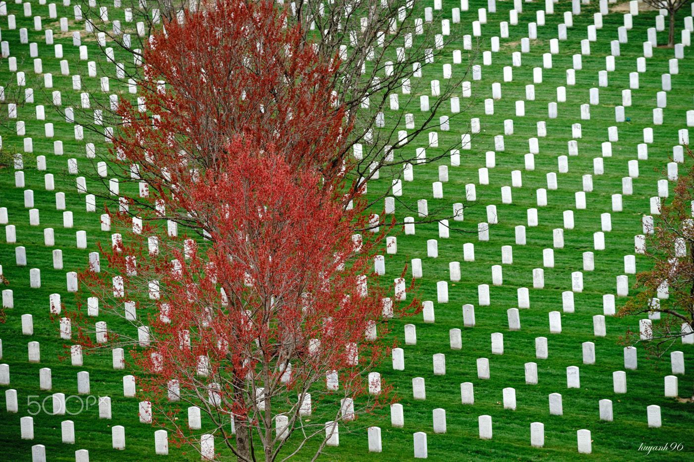 Hasselblad HV sample photo. Cemetery in spring photography