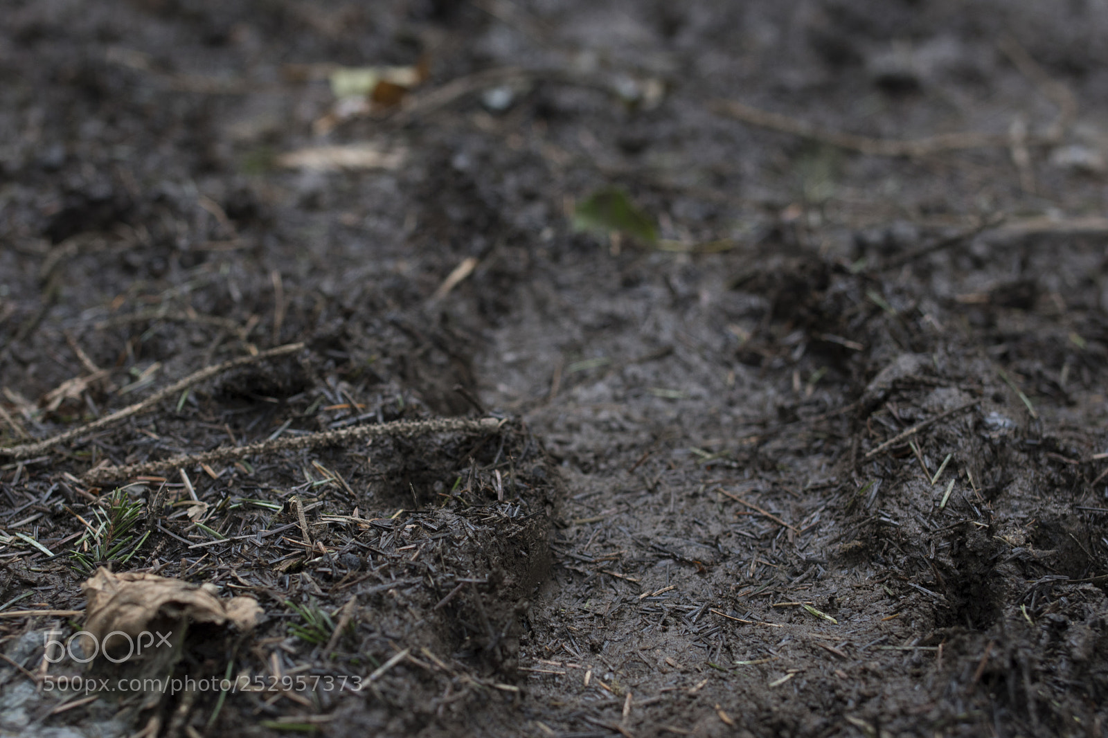 Pentax K-70 sample photo. Pushing through photography