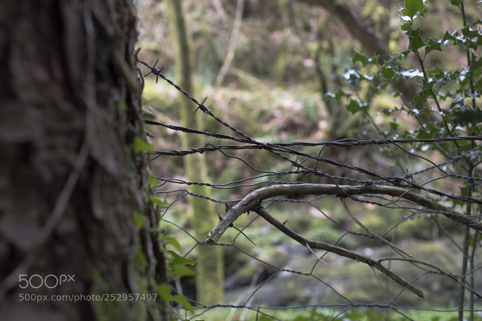 Pentax K-70 sample photo. Block photography