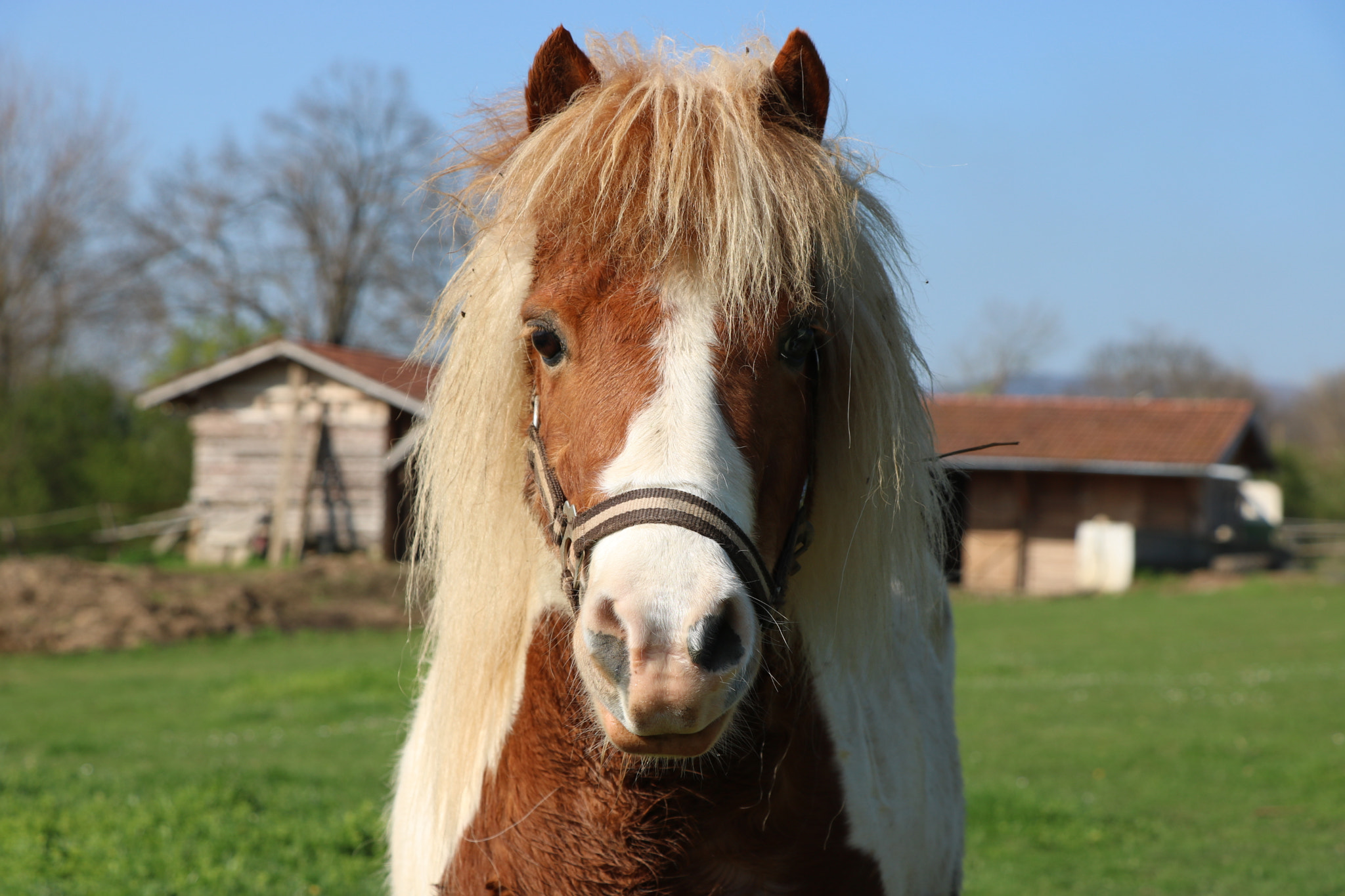 Canon EOS 750D (EOS Rebel T6i / EOS Kiss X8i) sample photo. Perfect model photography