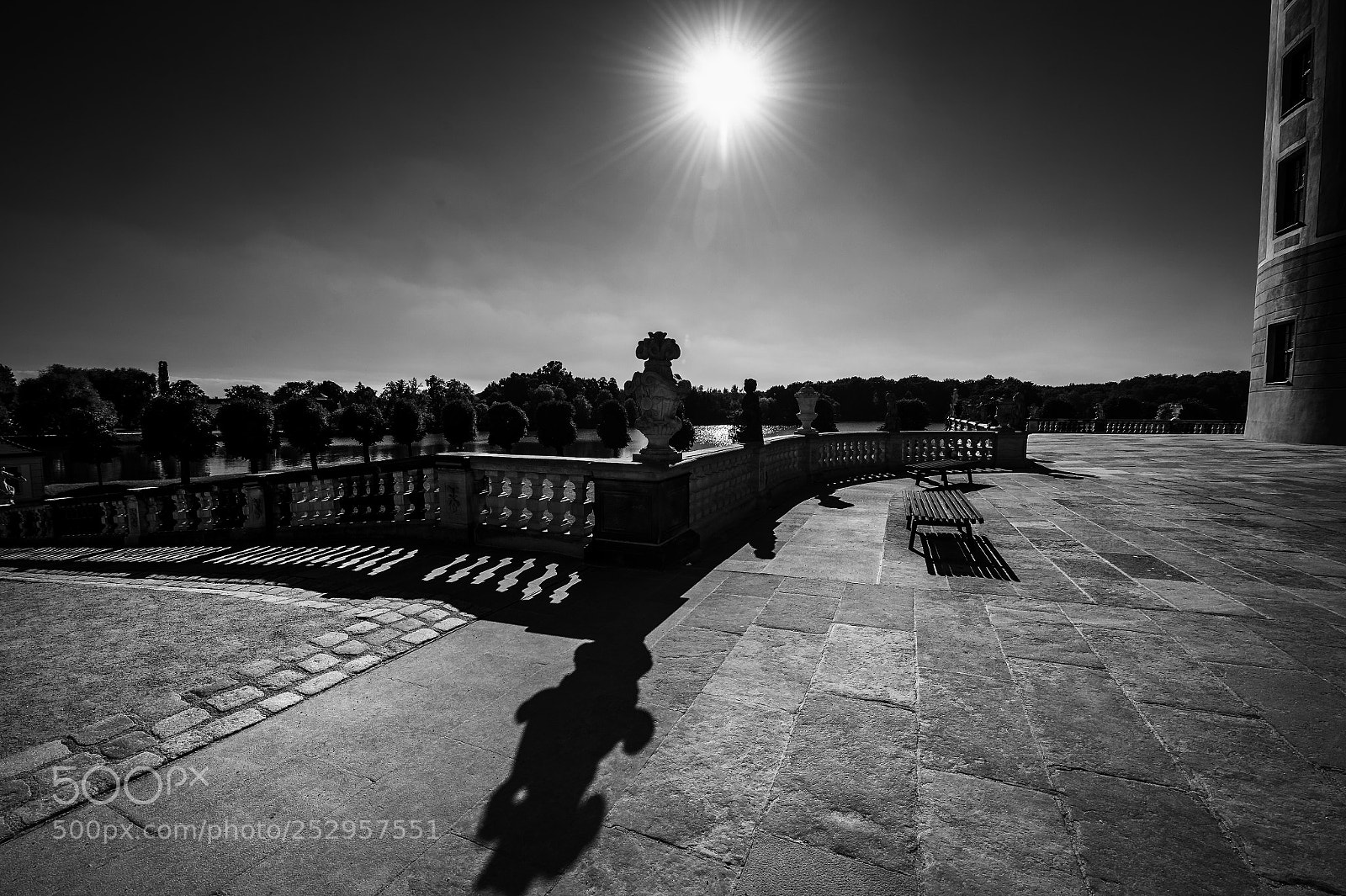 Nikon D4 sample photo. Moritzburg bw photography