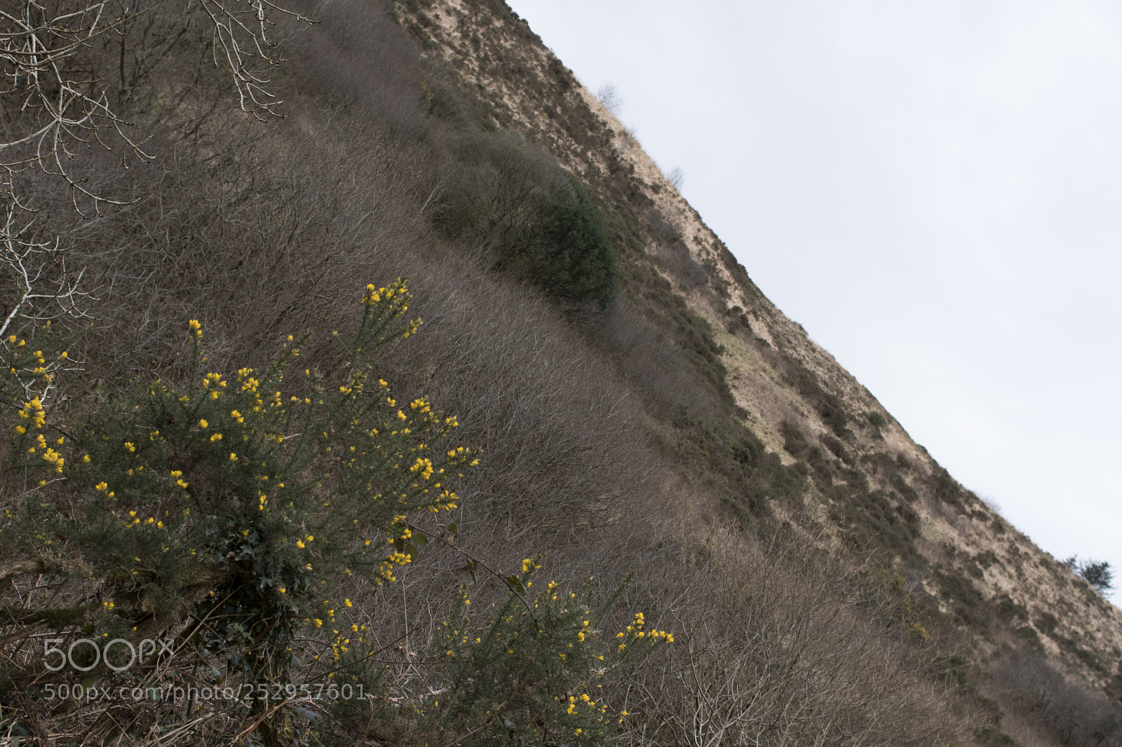 Pentax K-70 sample photo. Unbalance photography