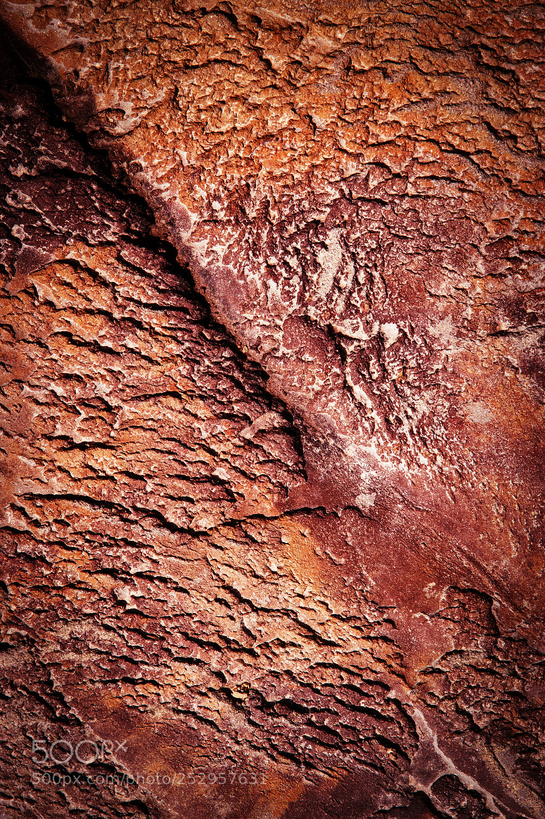 Nikon D5500 sample photo. Wrinkled surface of red photography