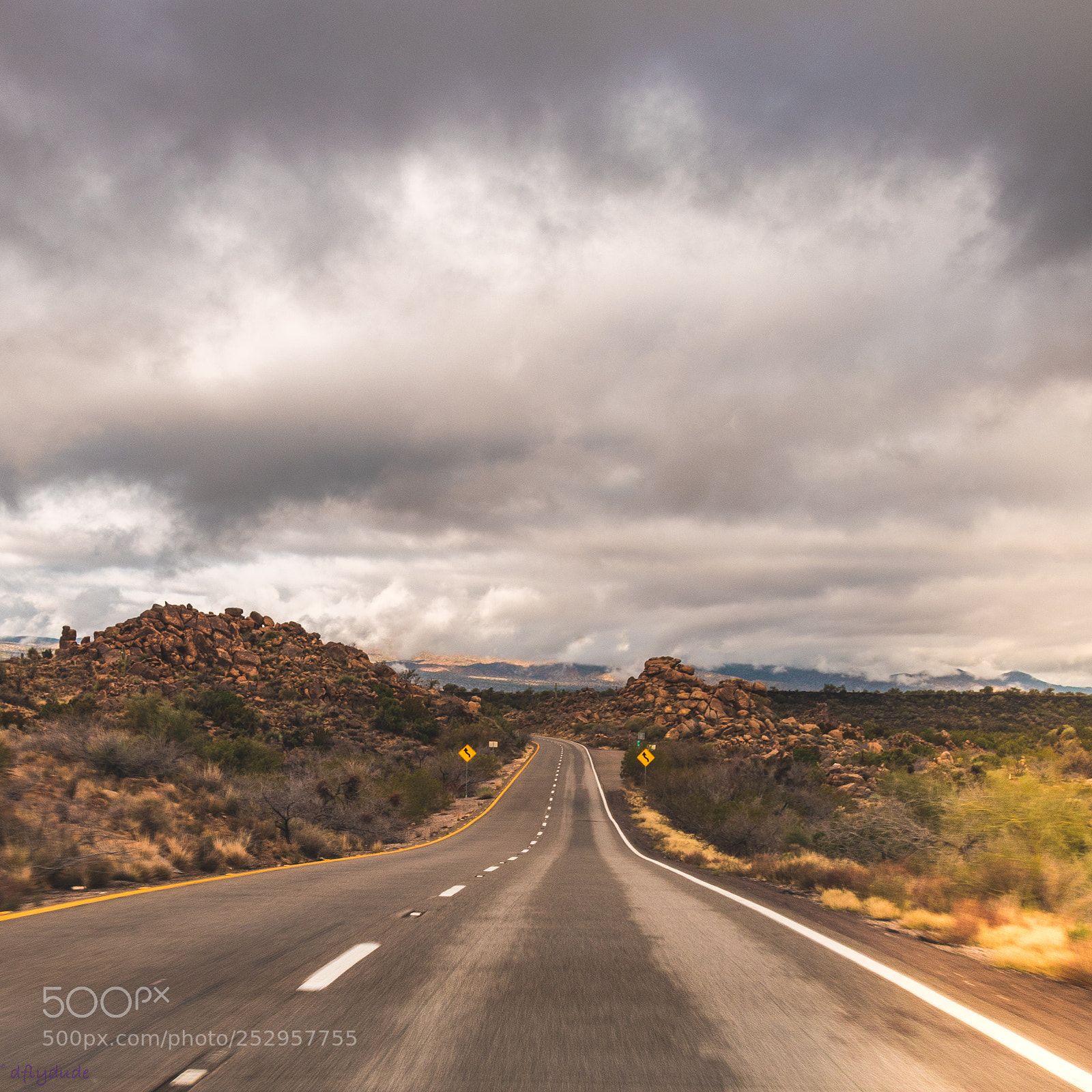 Nikon D5600 sample photo. Road trip 2817 photography
