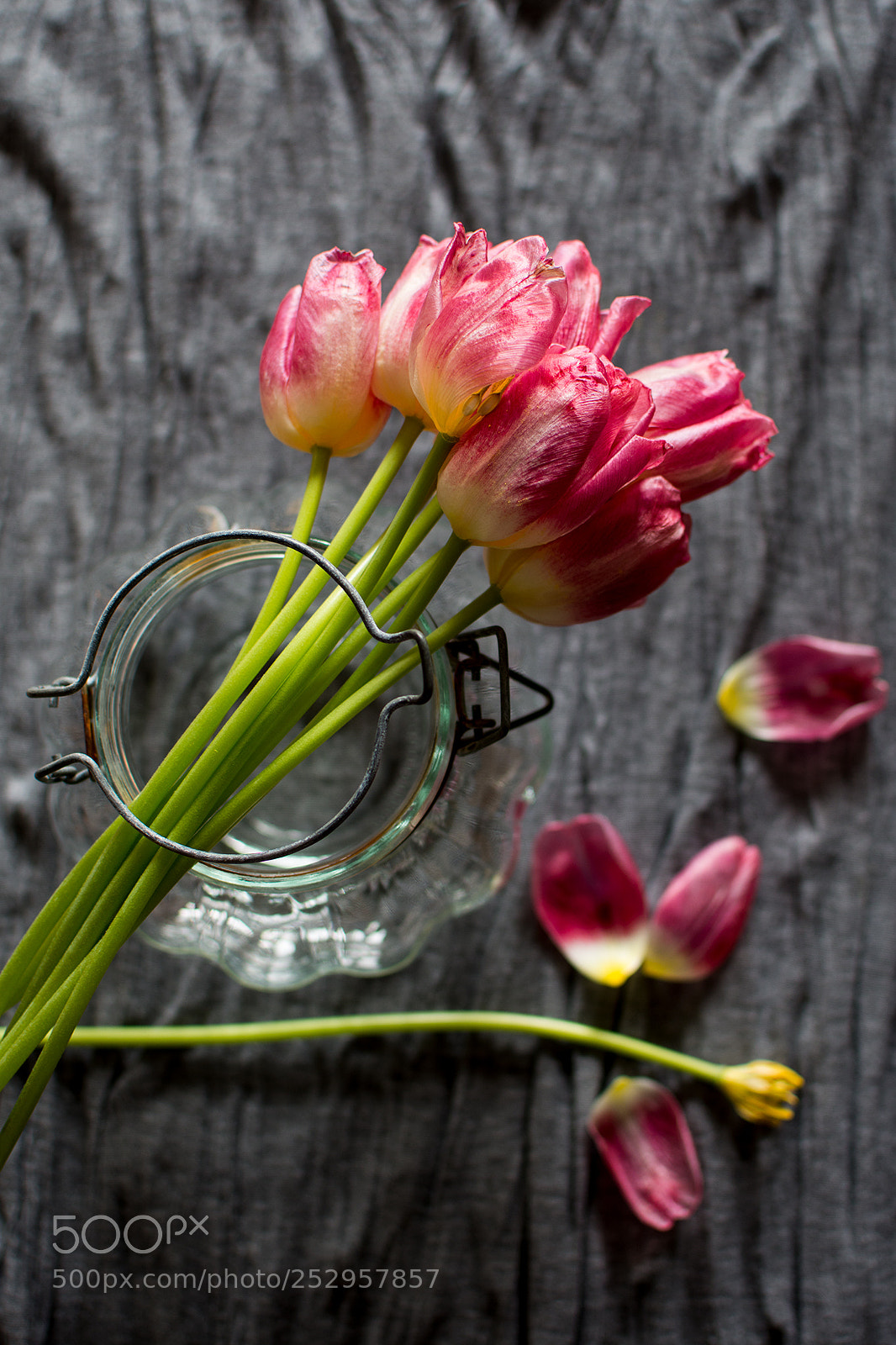 Nikon D7200 sample photo. Tulips - first day photography