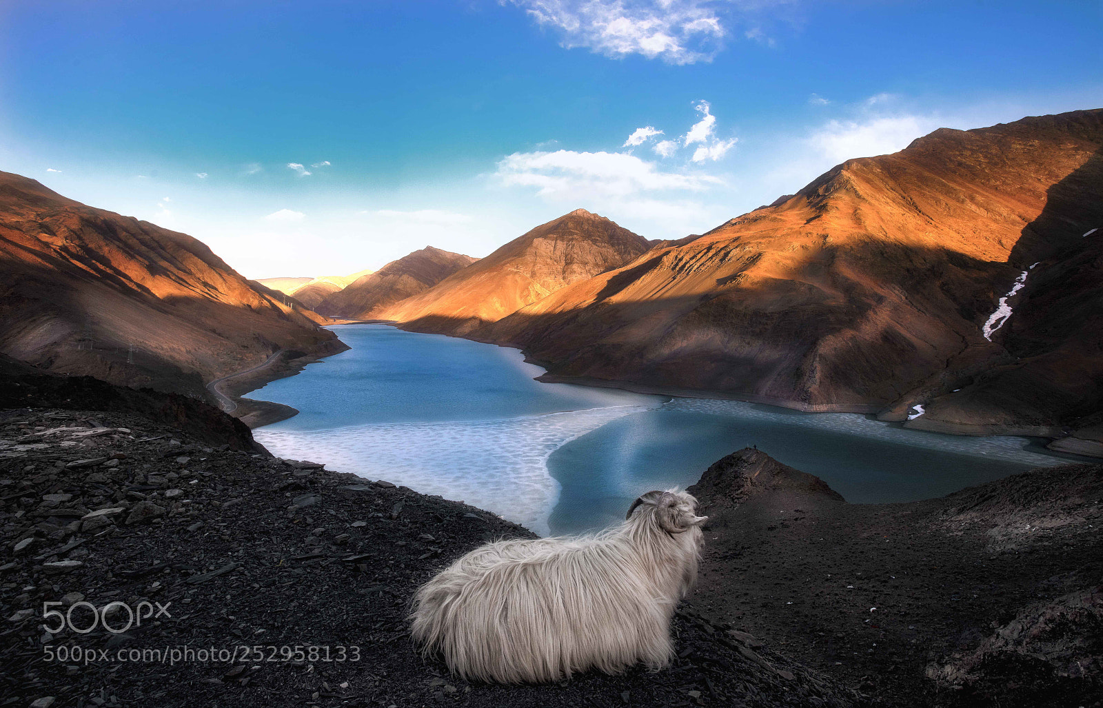 Nikon D850 sample photo. Manla lake photography