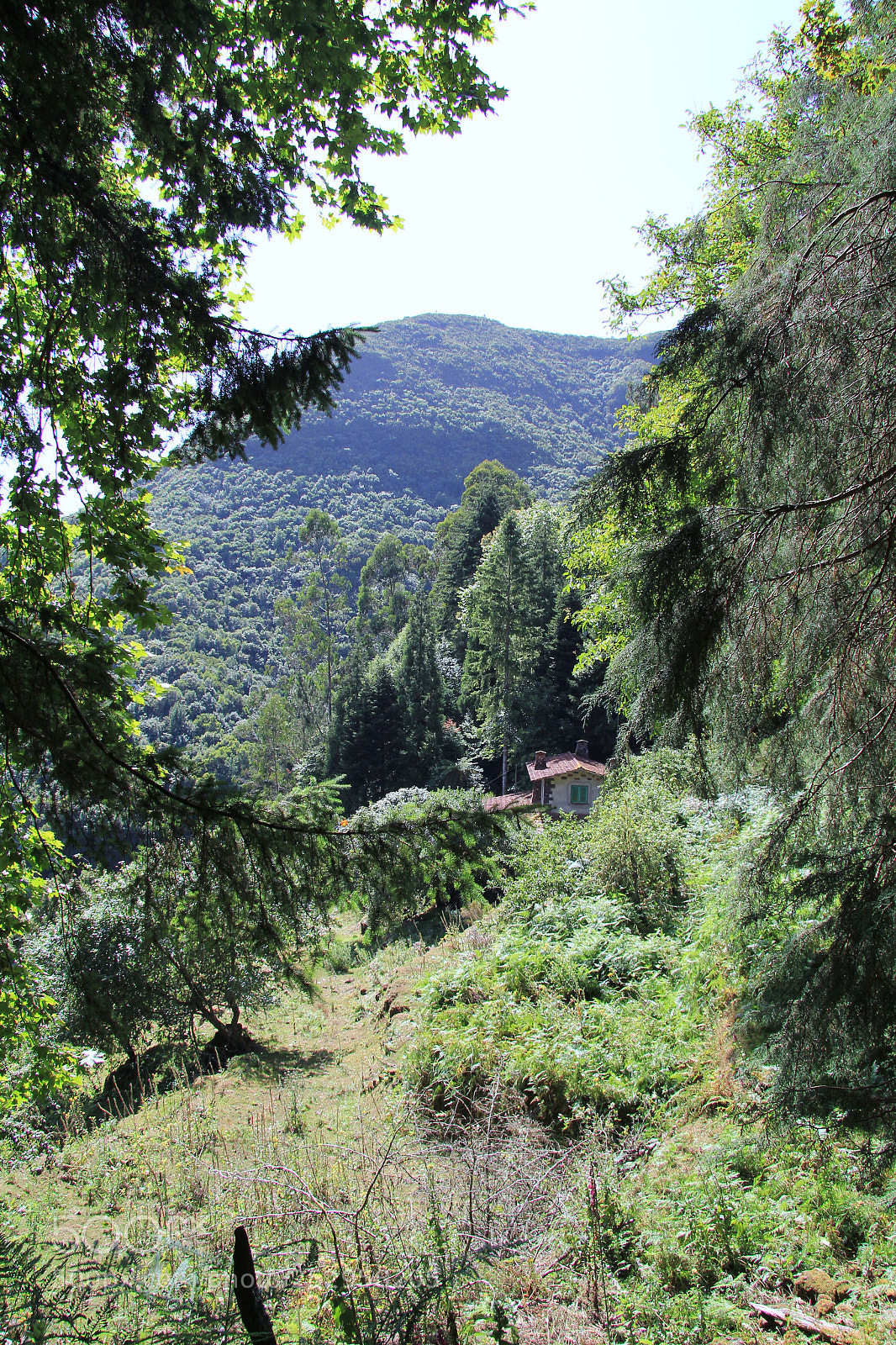 Canon EOS 60D sample photo. Img photography