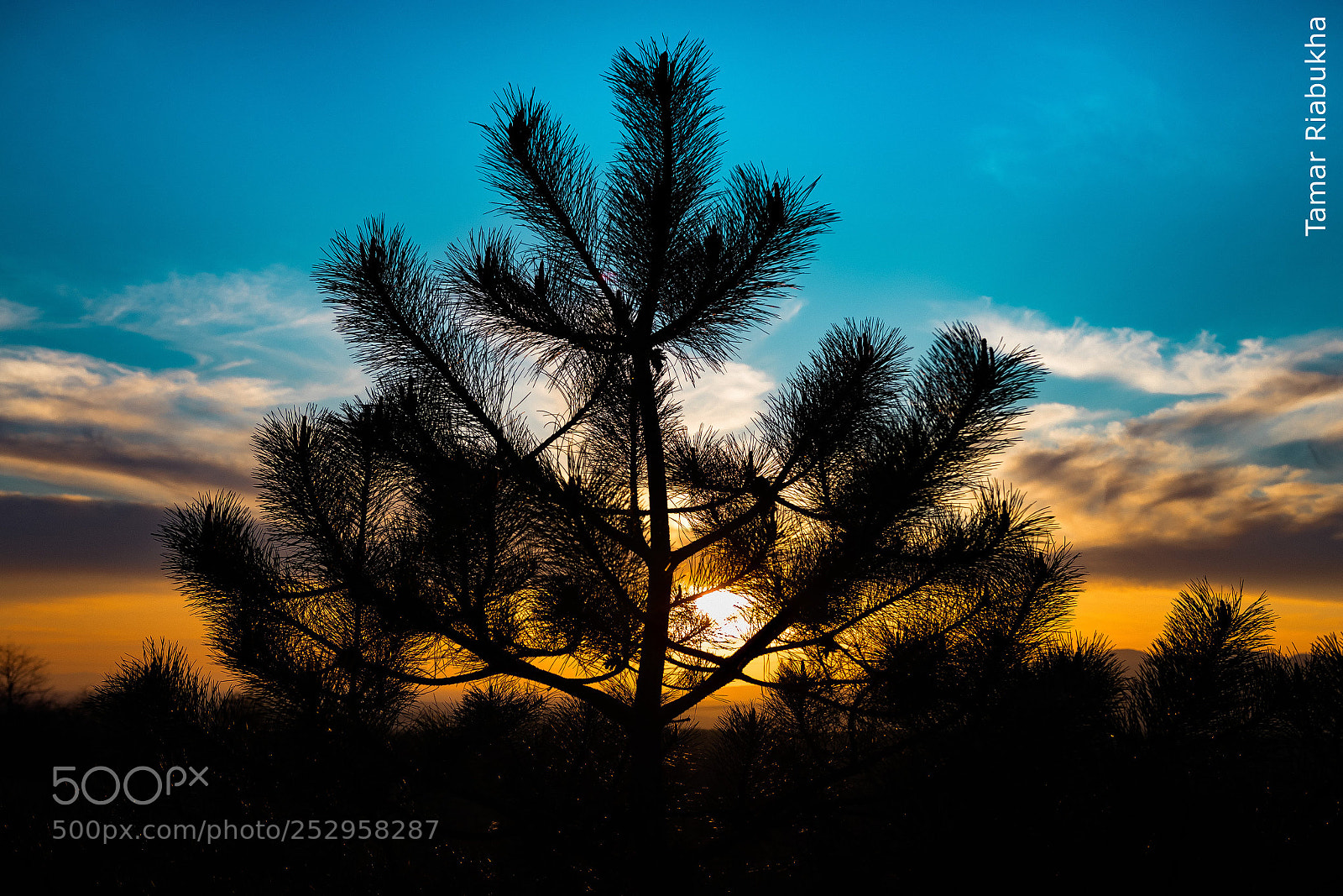 Canon EOS 80D sample photo. Sunset photography