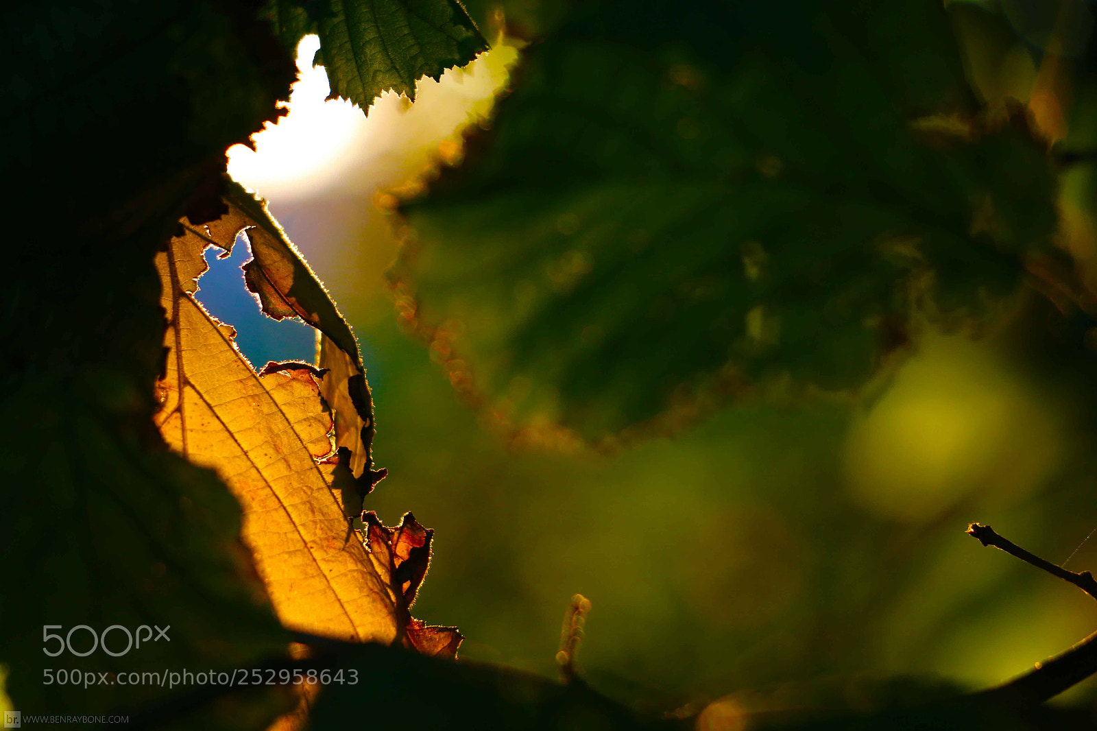 Canon EOS 70D sample photo. Broken n blue inside photography