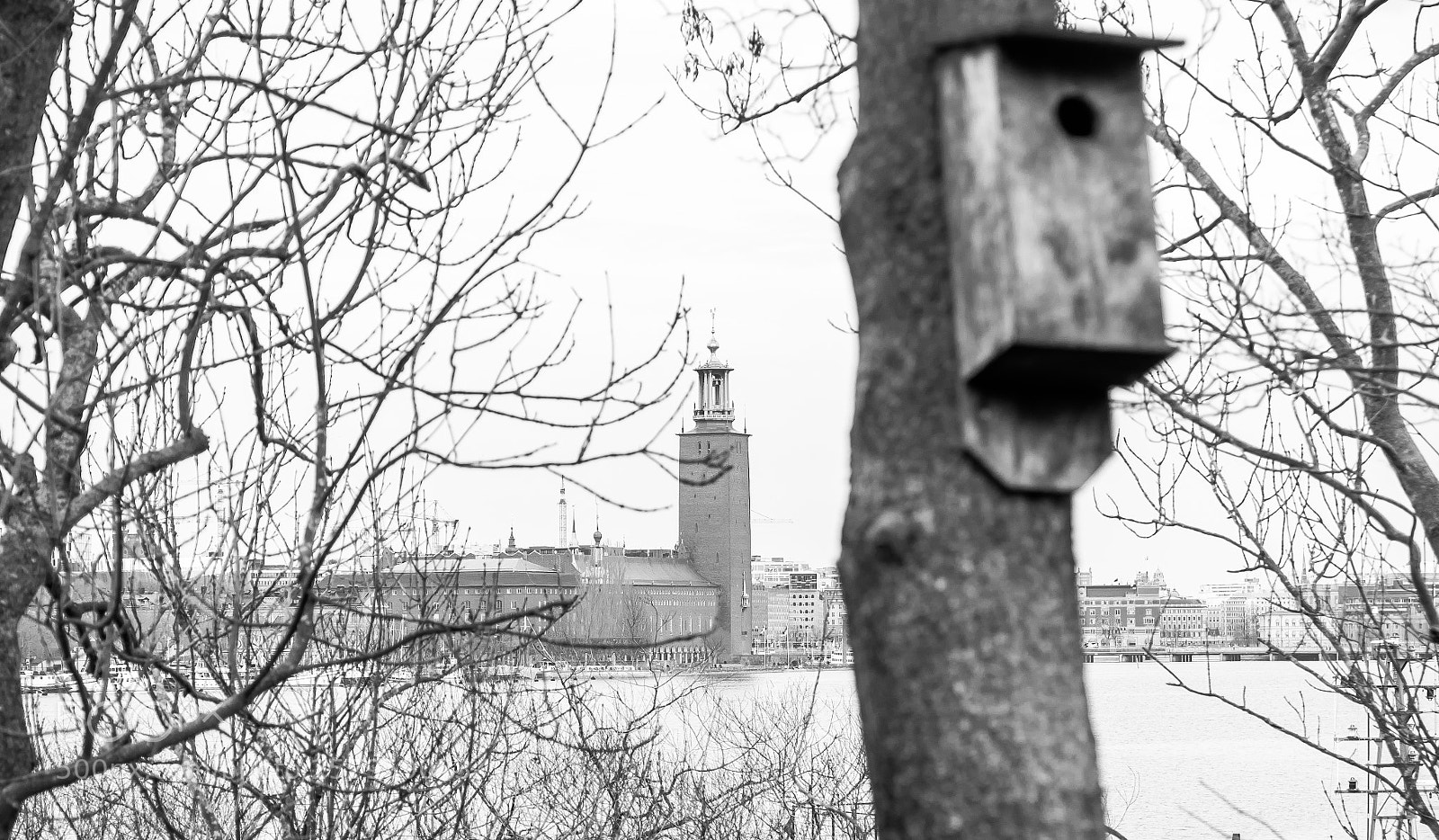 Canon EOS 5D Mark IV sample photo. Stockholm city hall photography