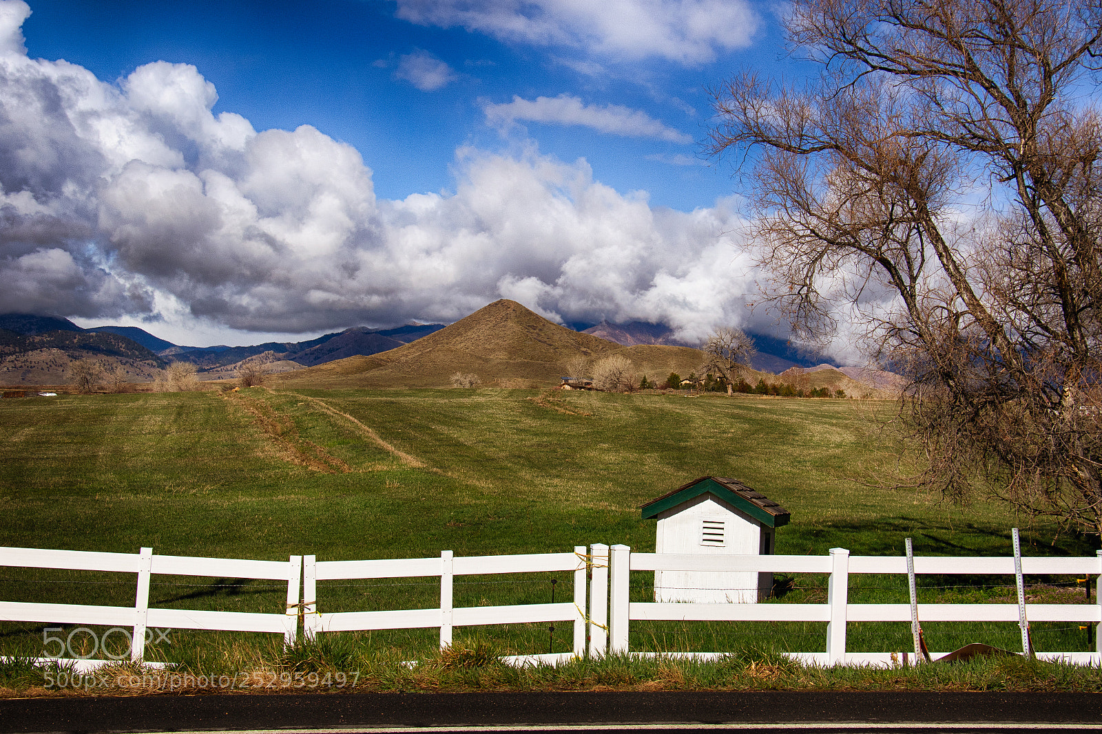 Canon EOS 7D Mark II sample photo. Spring fling photography